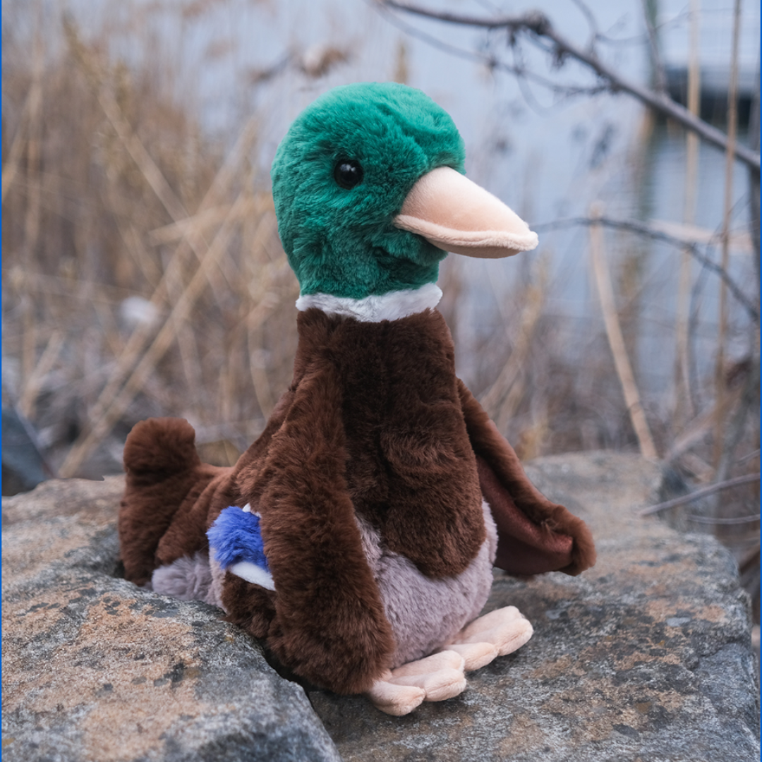 Dessie the Mallard Duck Deluxe Plush Toy