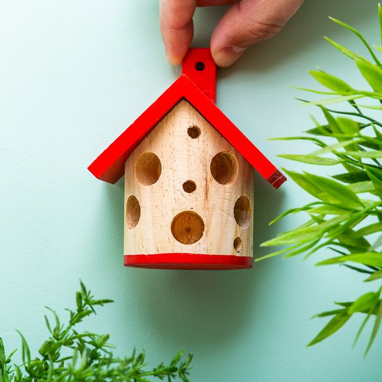 Ladybug House