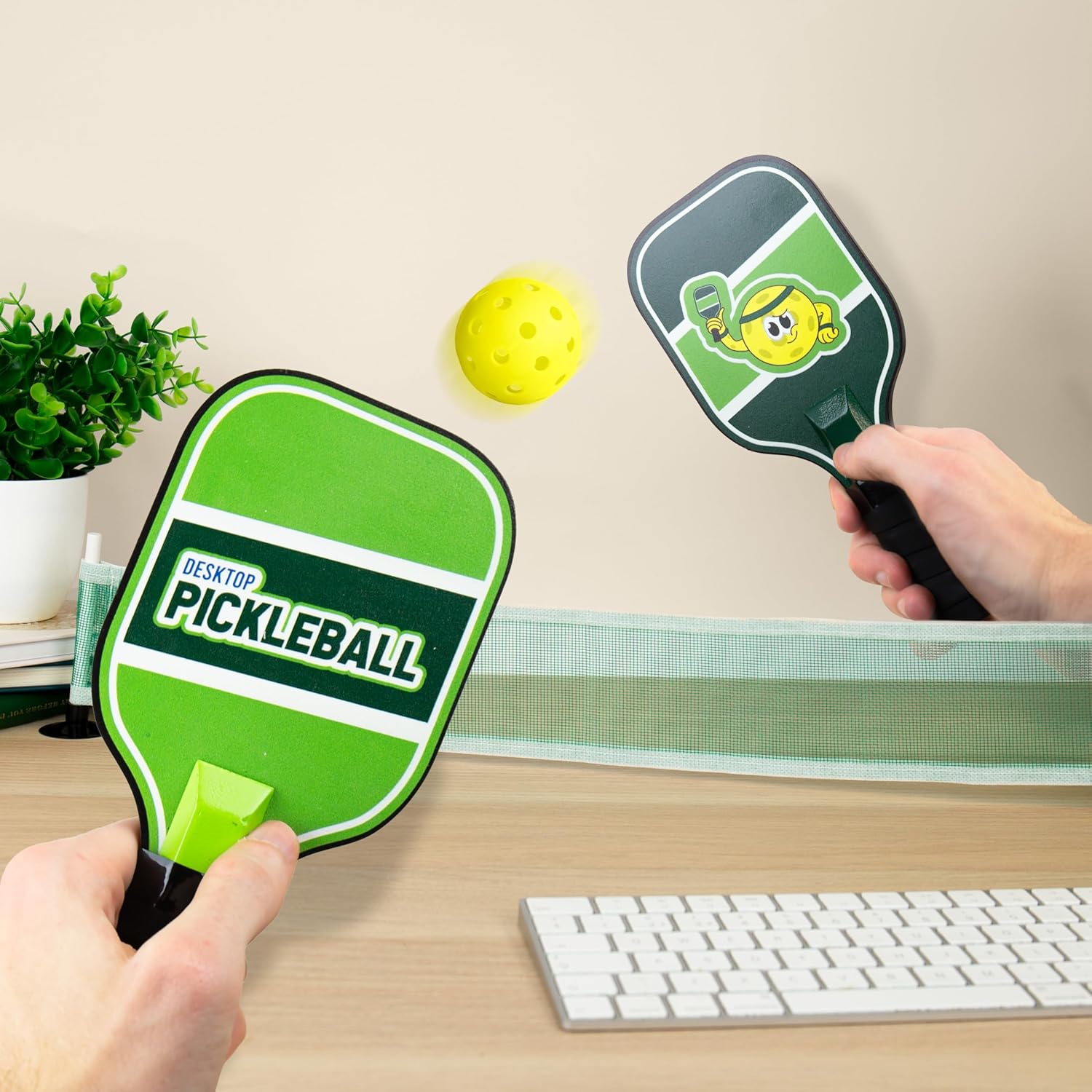 Desktop Pickleball Game