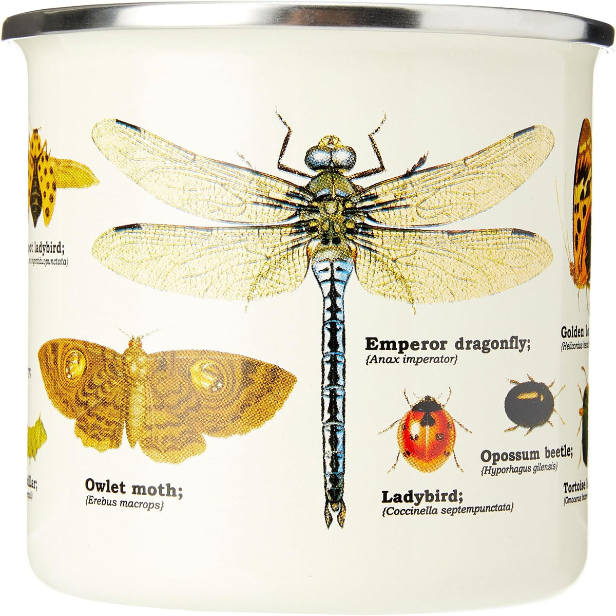 Insects Enamel Mug