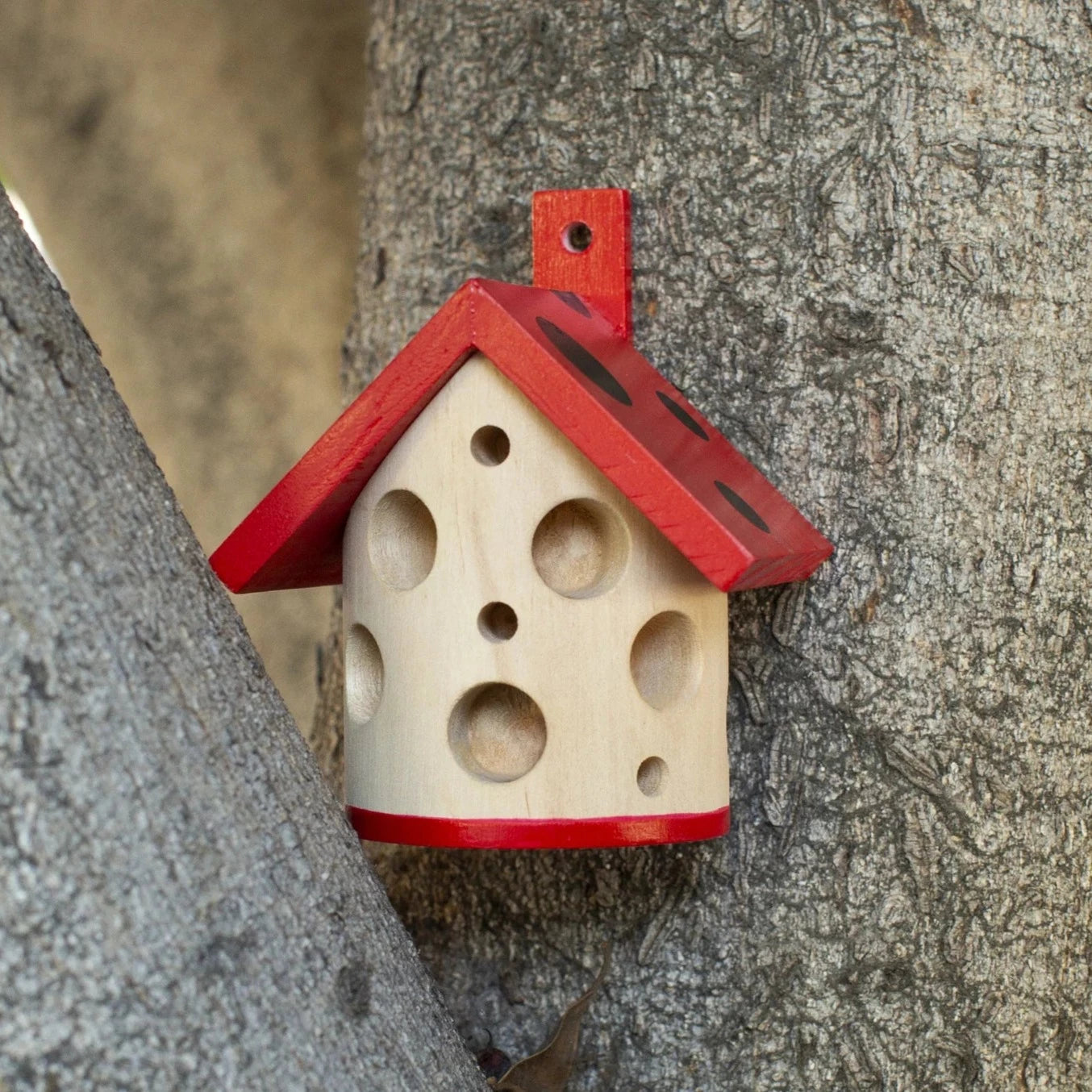 Ladybug House