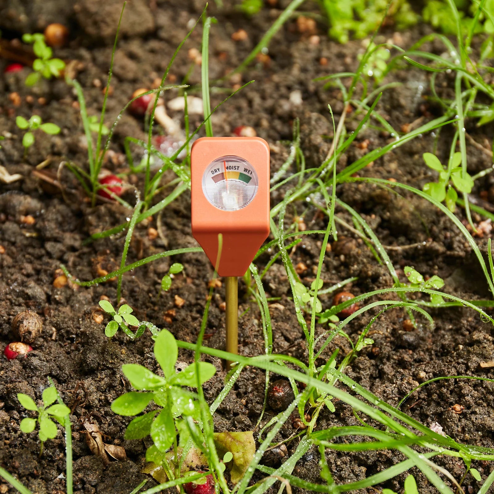 Garden Soil Hydrometer