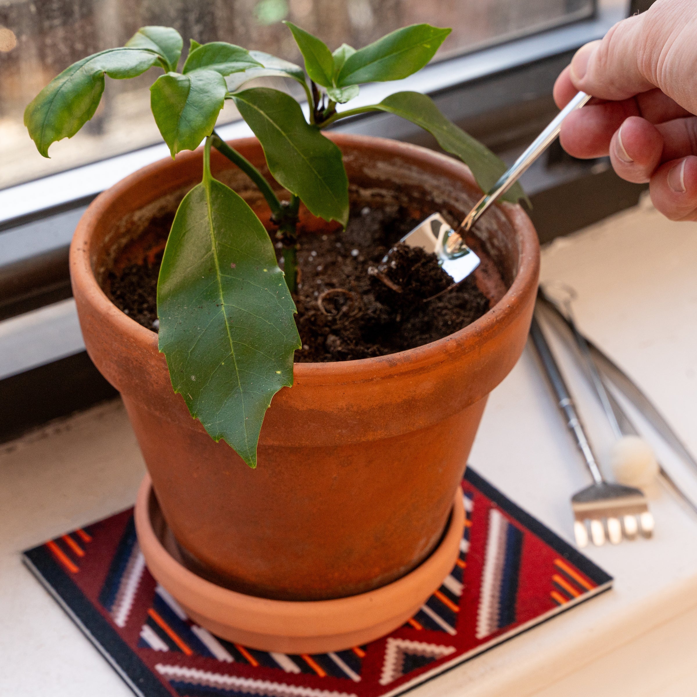 Mini Garden Tools for Pot Plants and Terrariums
