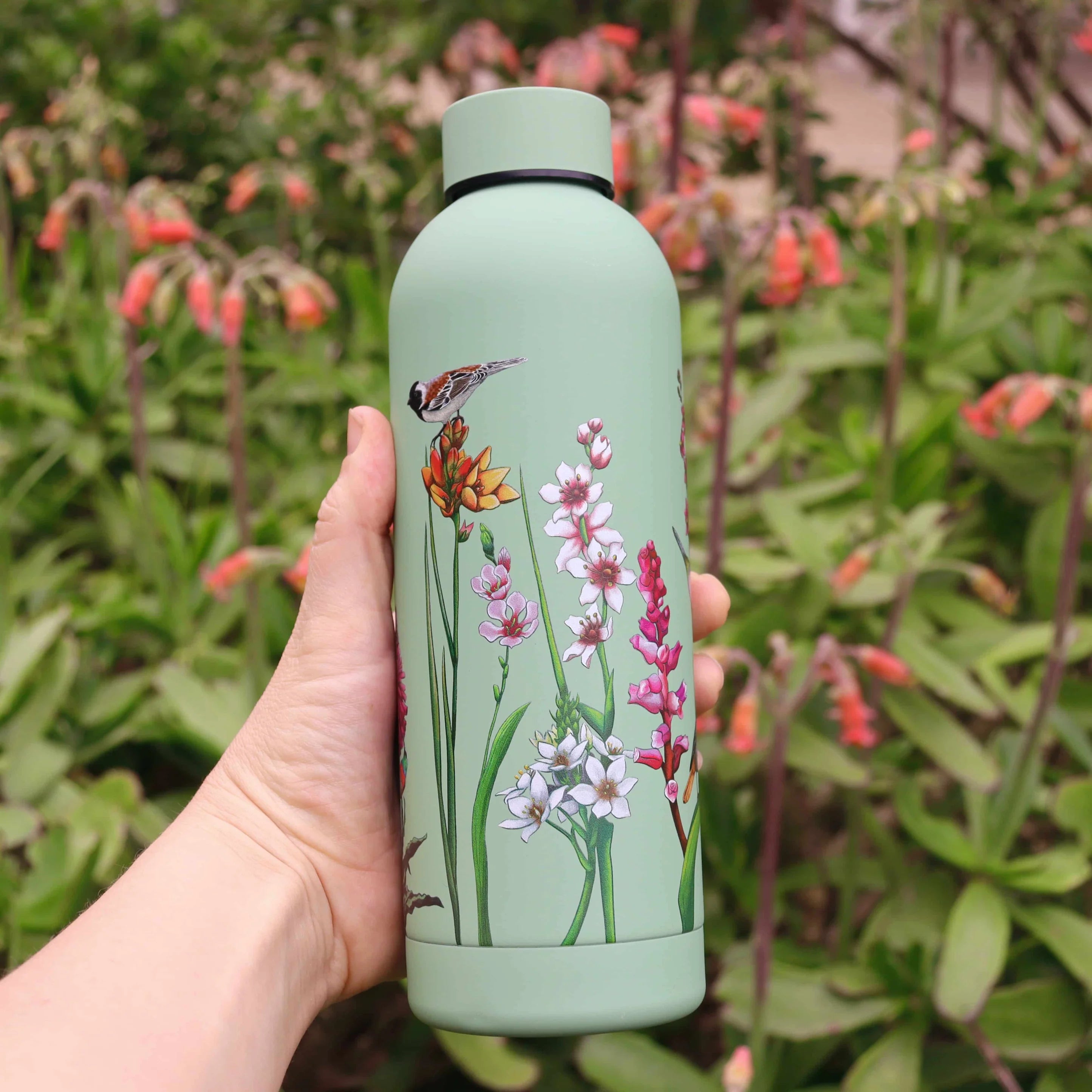 CosyCore Stainless Steel Flasks – Cape Bulbs & Birds