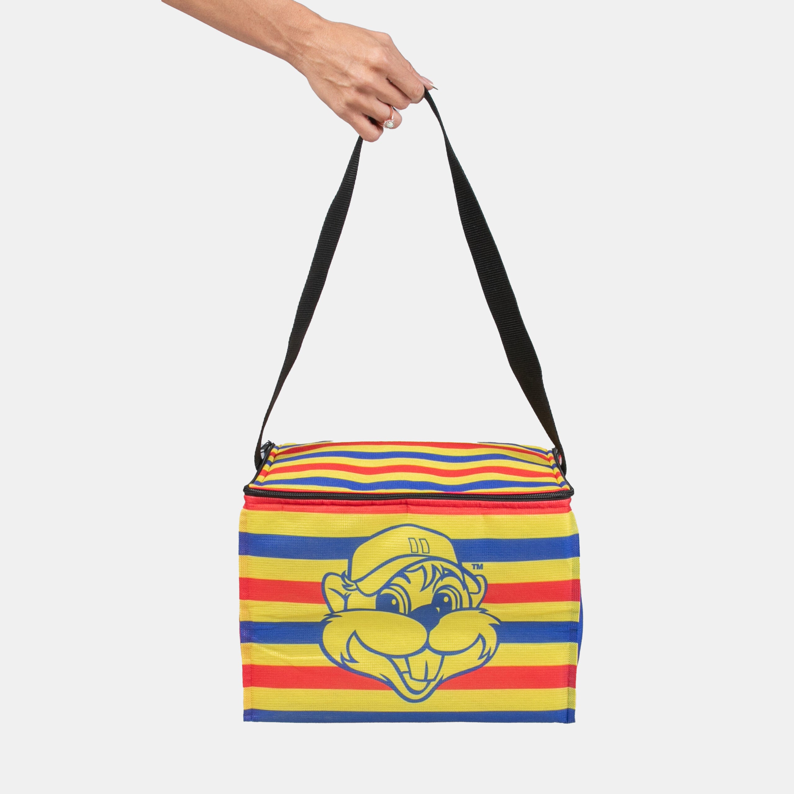 SA Icons Cooler Bags