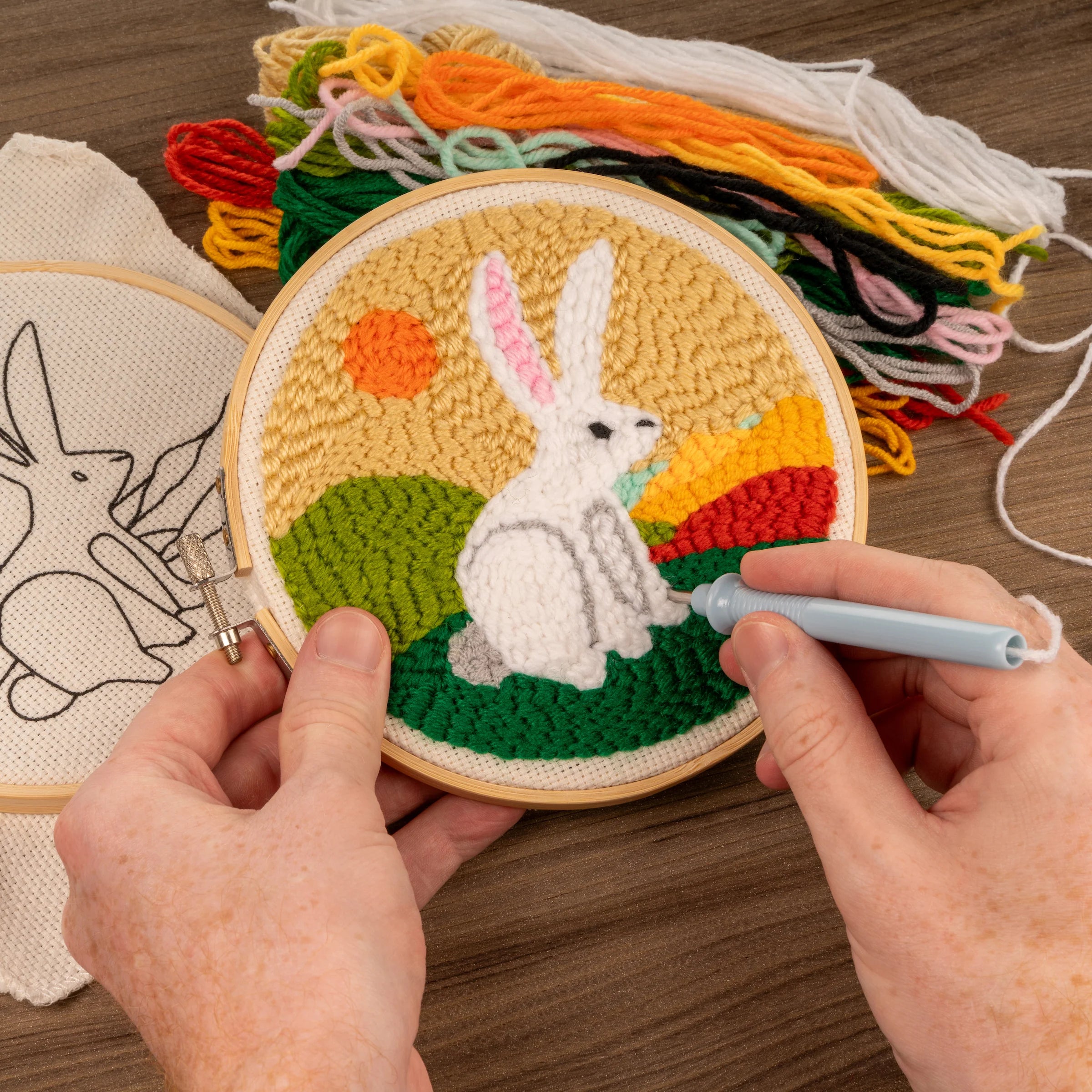 Punch Needle Embroidery Kits (assorted designs) - NEW DESIGNS!