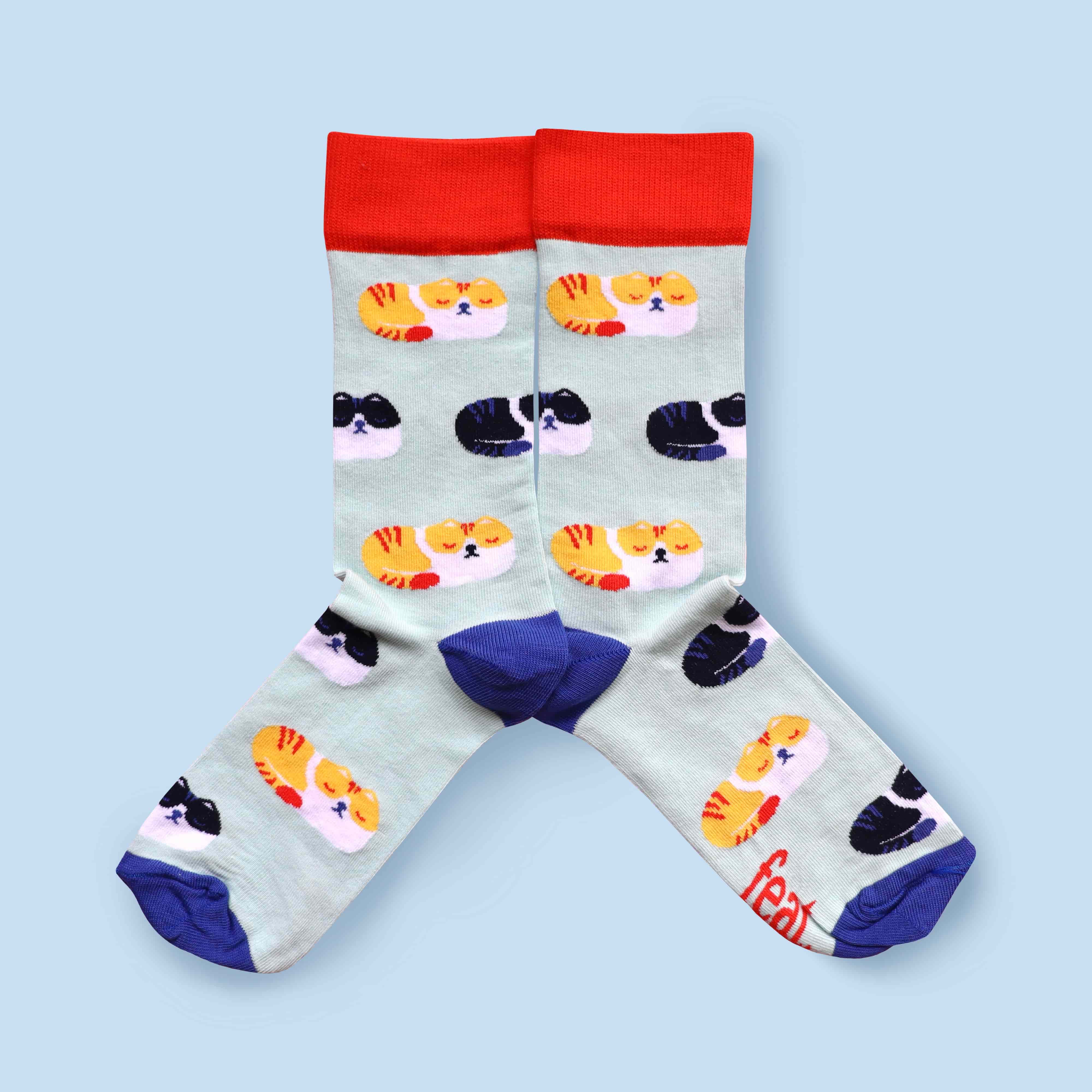 Grumpy Cat Socks (His & Hers sizes)