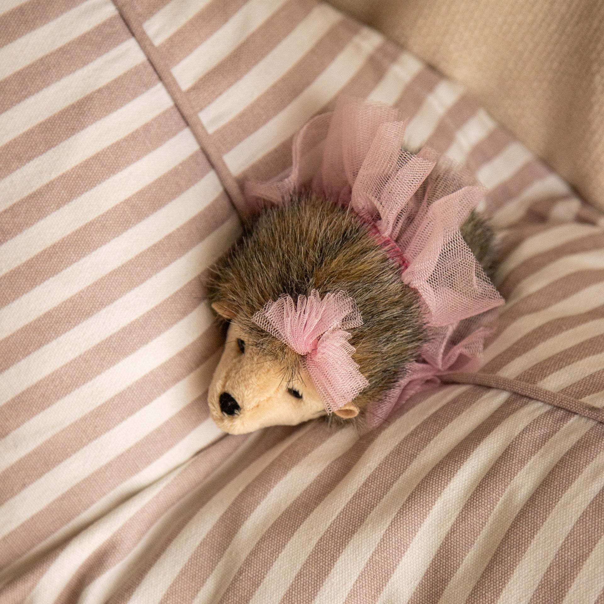 Pink Swirl the Ballerina Hedgehog Deluxe Plush Toy