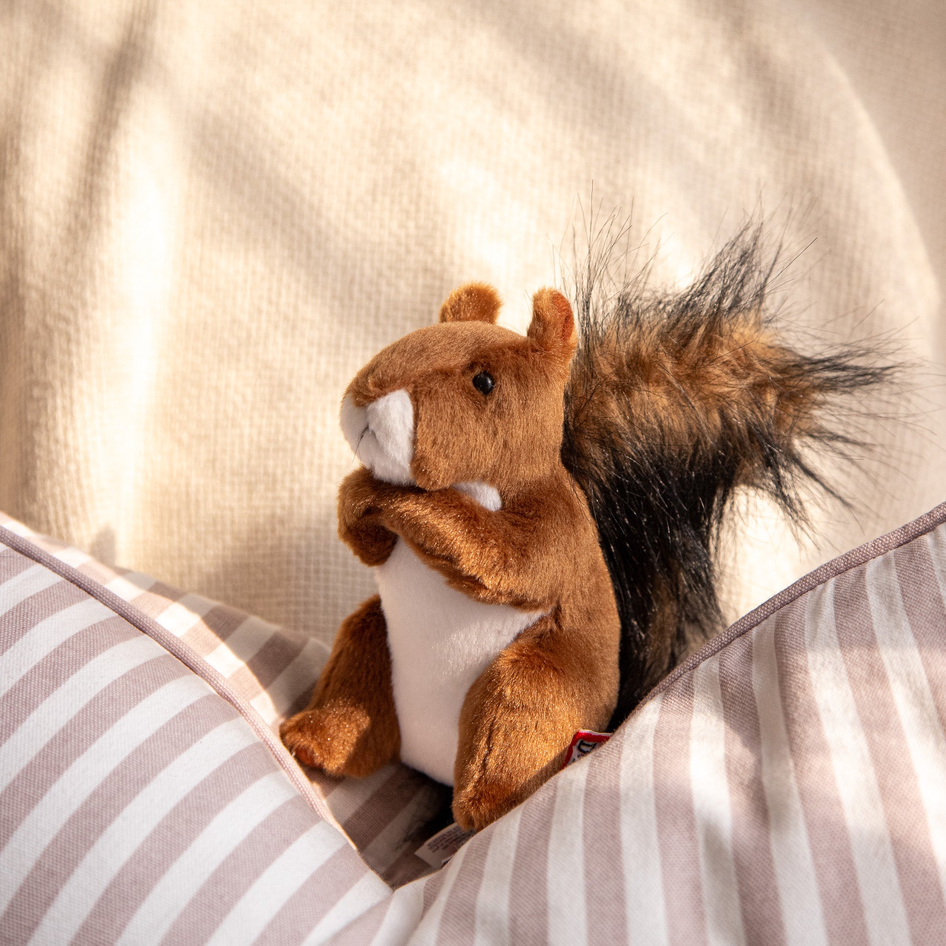 Roadie the Red Squirrel Deluxe Plush Toy