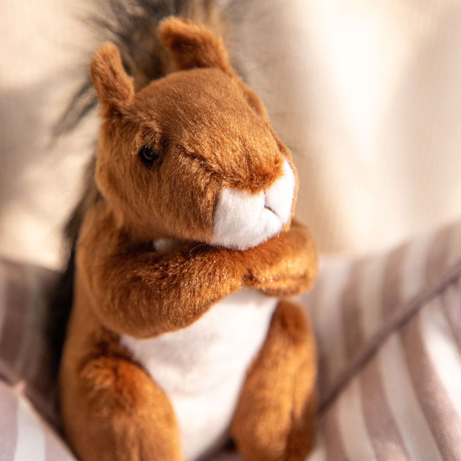 Roadie the Red Squirrel Deluxe Plush Toy