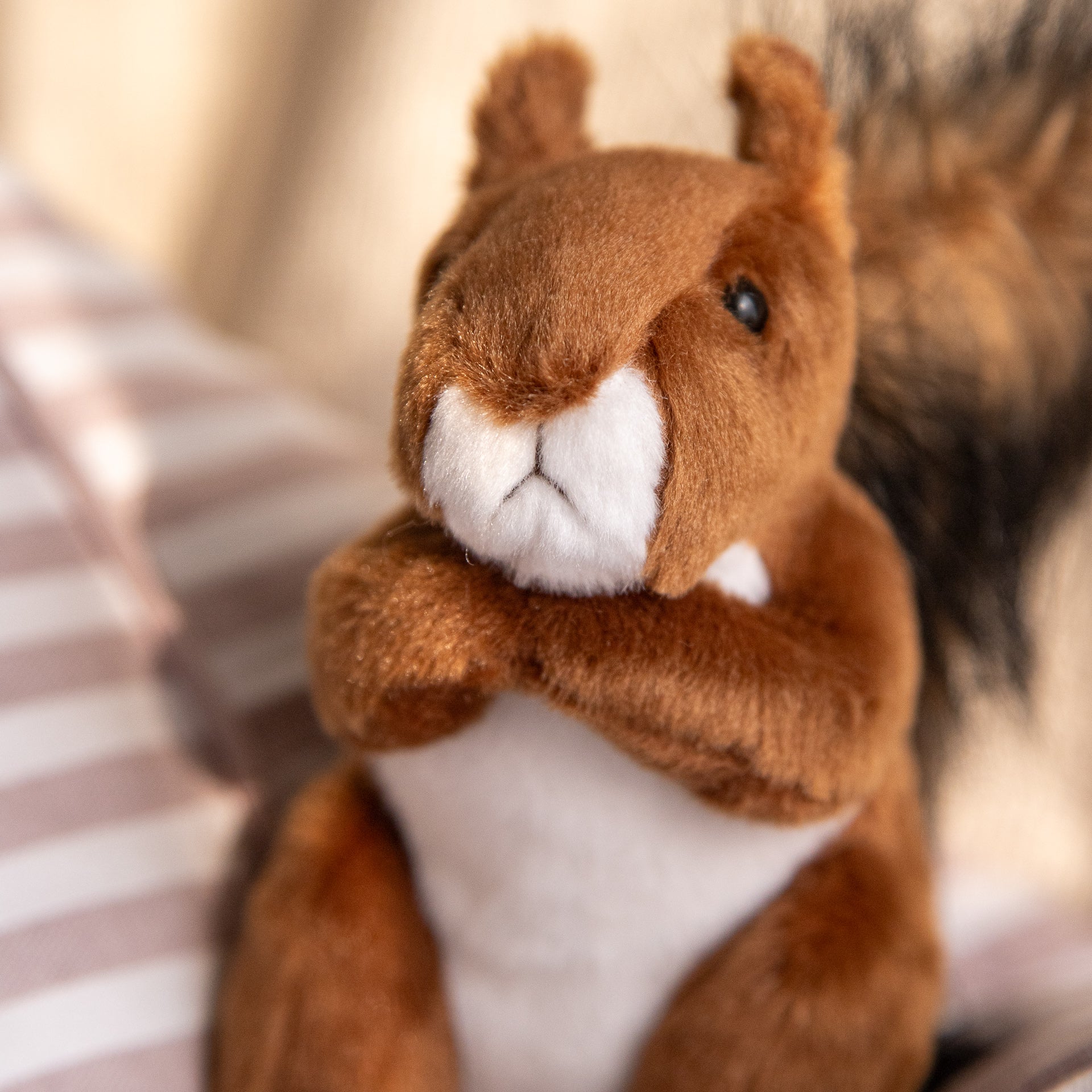 Roadie the Red Squirrel Deluxe Plush Toy
