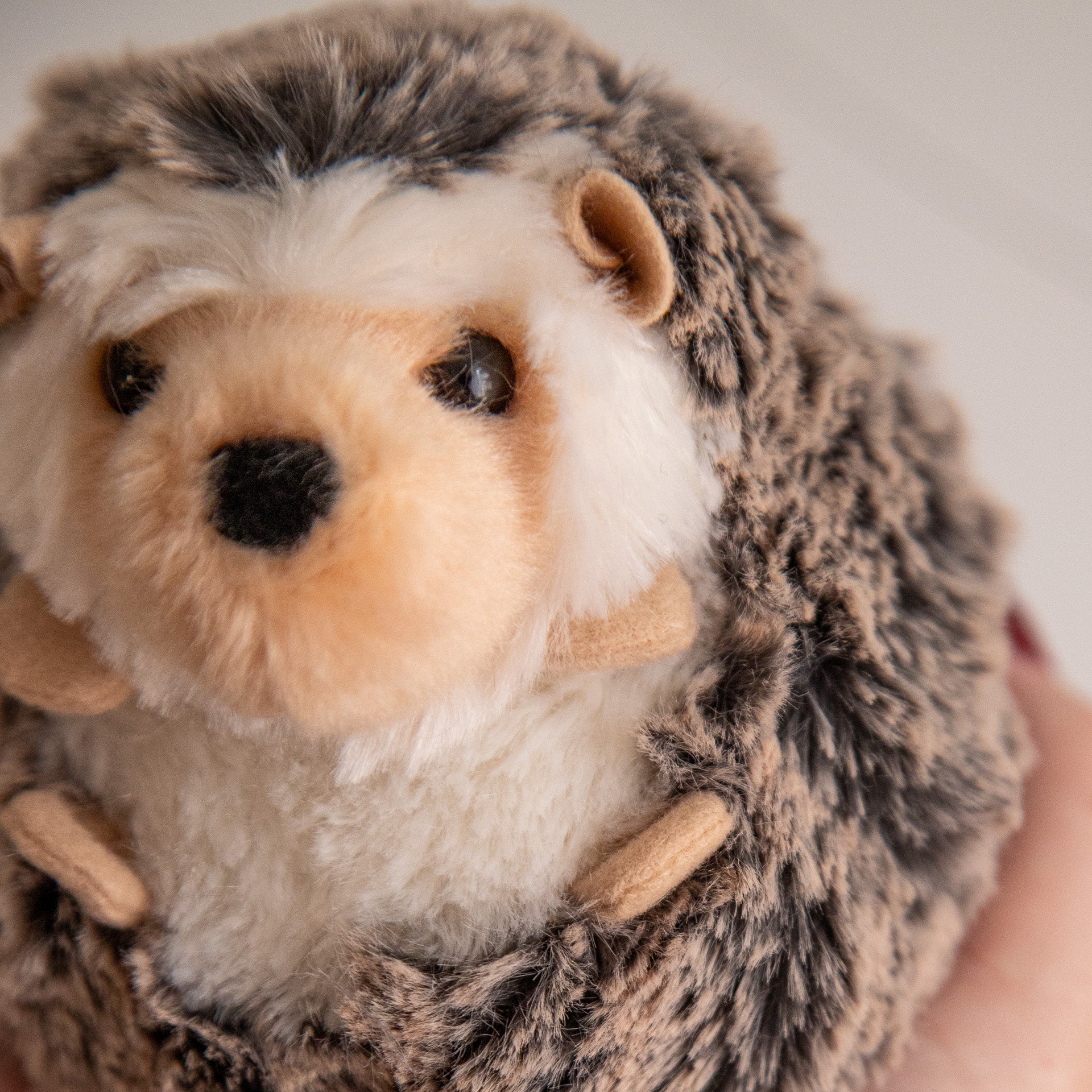 Spikey the Hedgehog Deluxe Plush Toy (Large or Small)