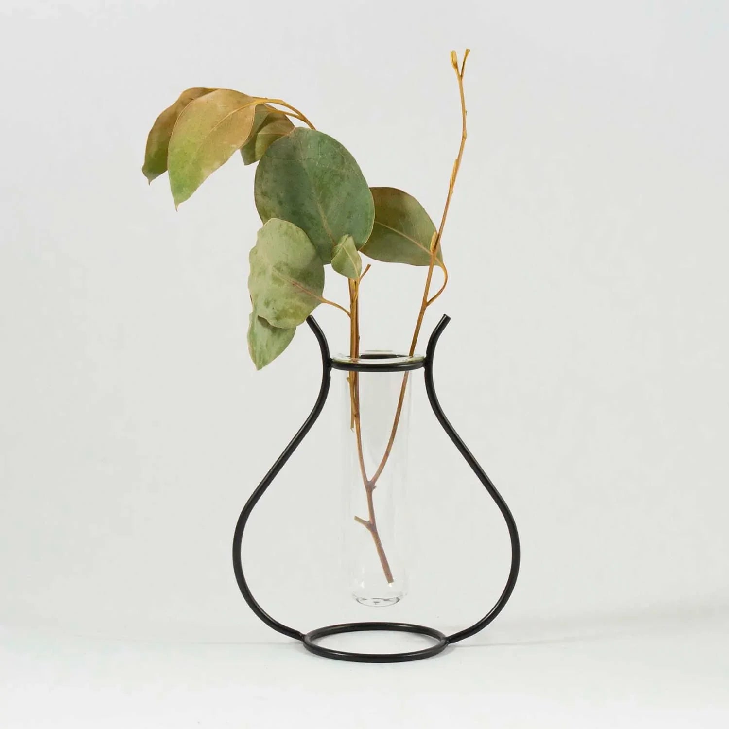 Geo Vase Propagation Station