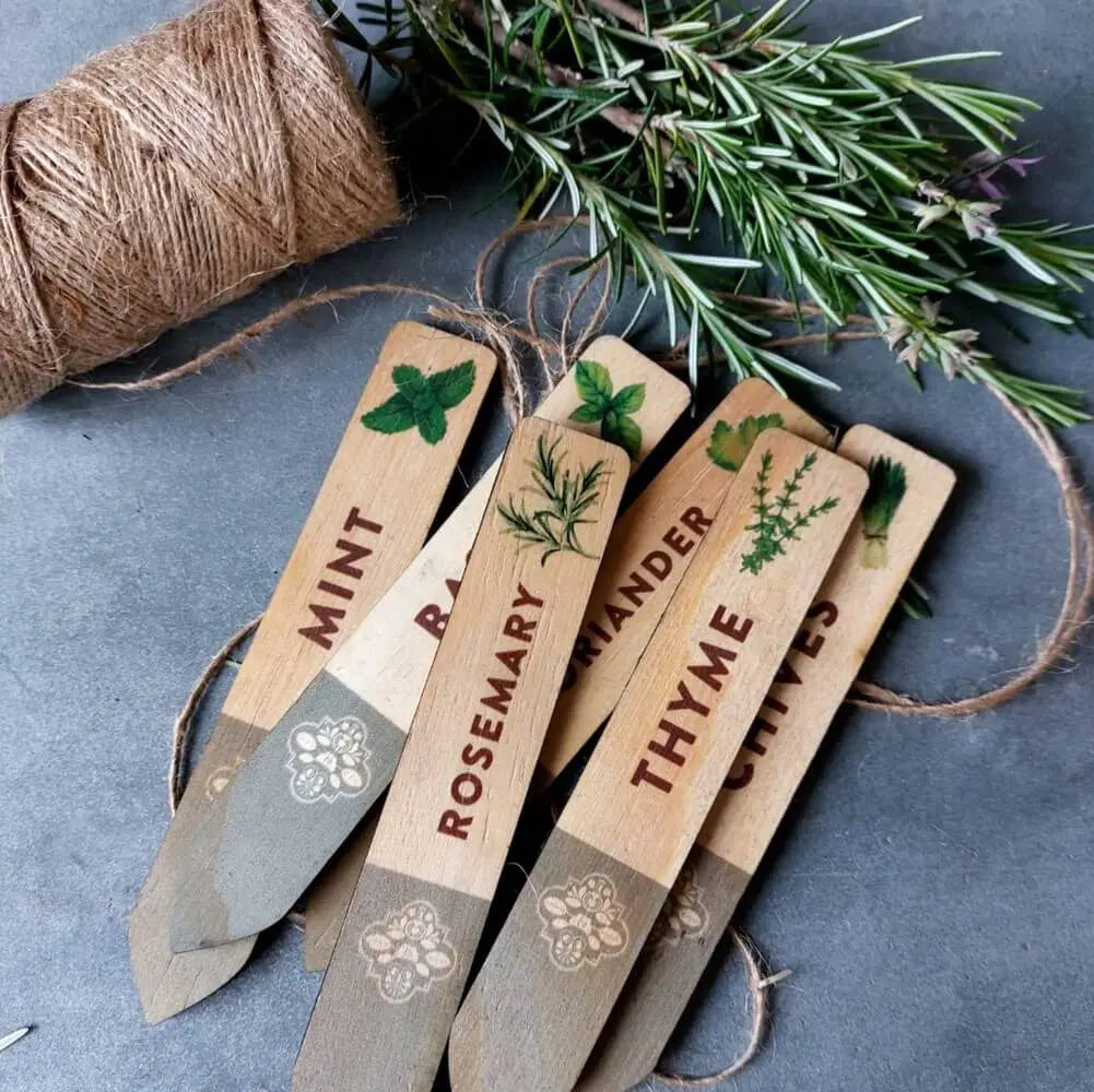 Sow Delicious Herb Planting Markers (set of 6)