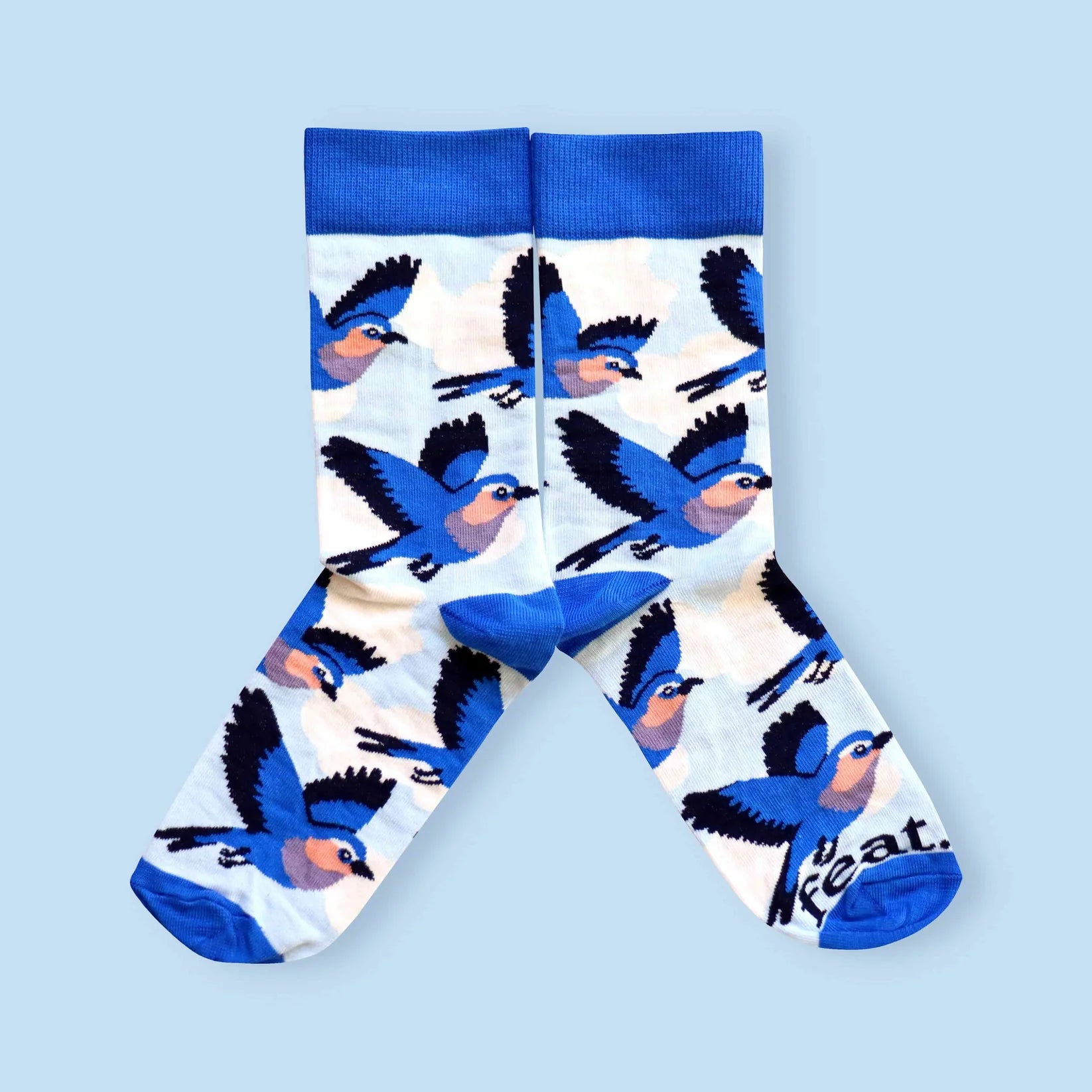Lilac Breasted Roller Socks (His & Hers sizes)