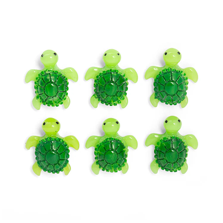 Baby Turtle Magnets (set of 6)