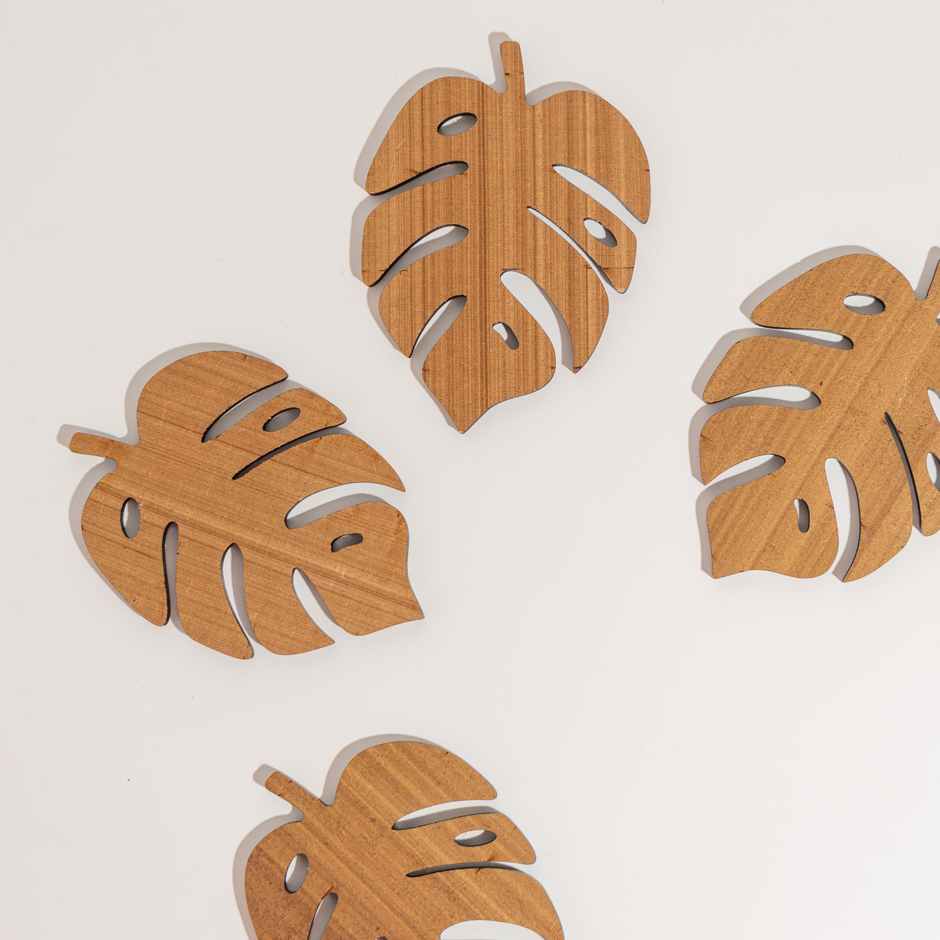 Monstera Leaf Wooden Coasters (Set of 4)