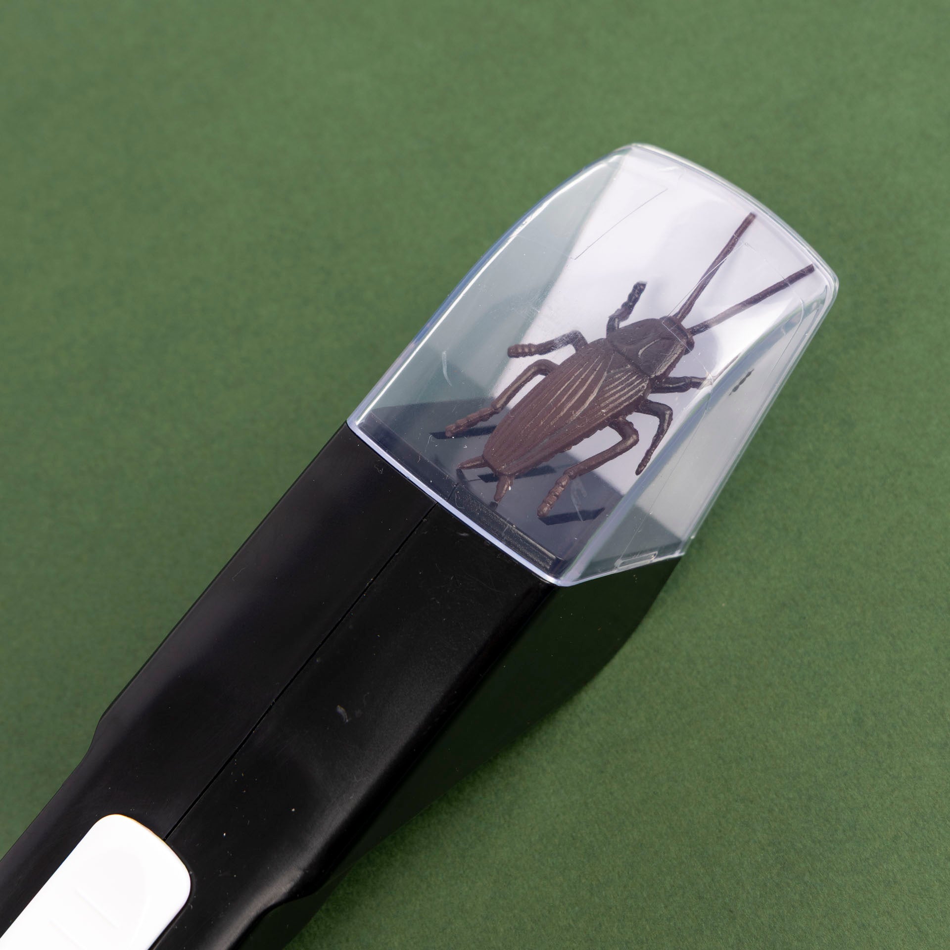 Bug Catcher
