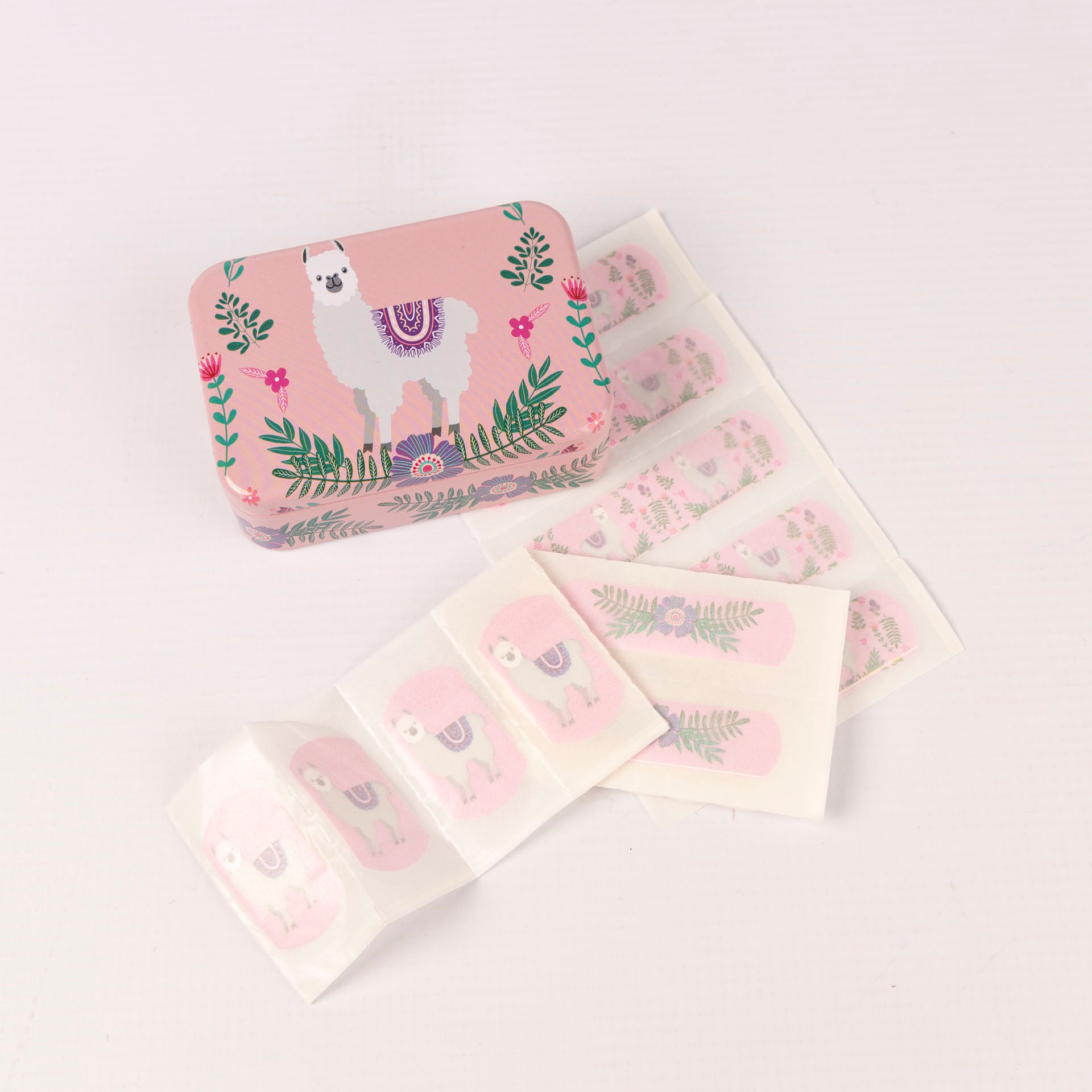 Novelty Plaster Tins (assorted designs)