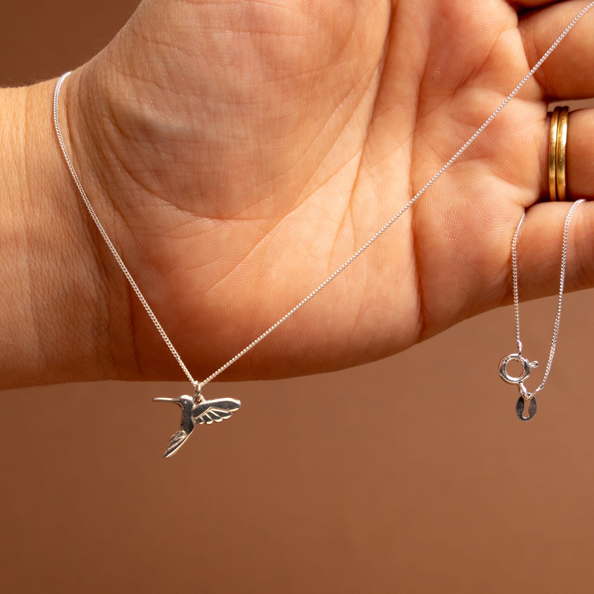 Sterling Silver Hummingbird Necklace