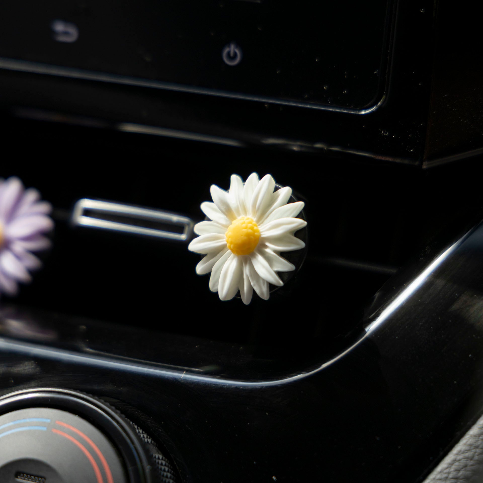 Daisy Car Air Freshener (assorted colours)