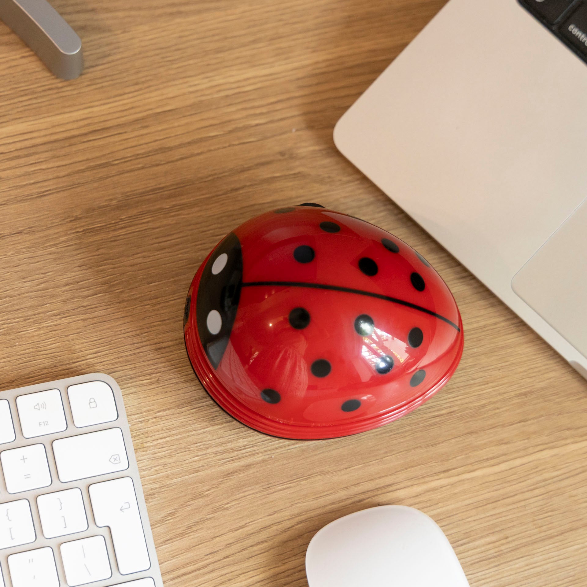 Ladybird Desk Vacuum