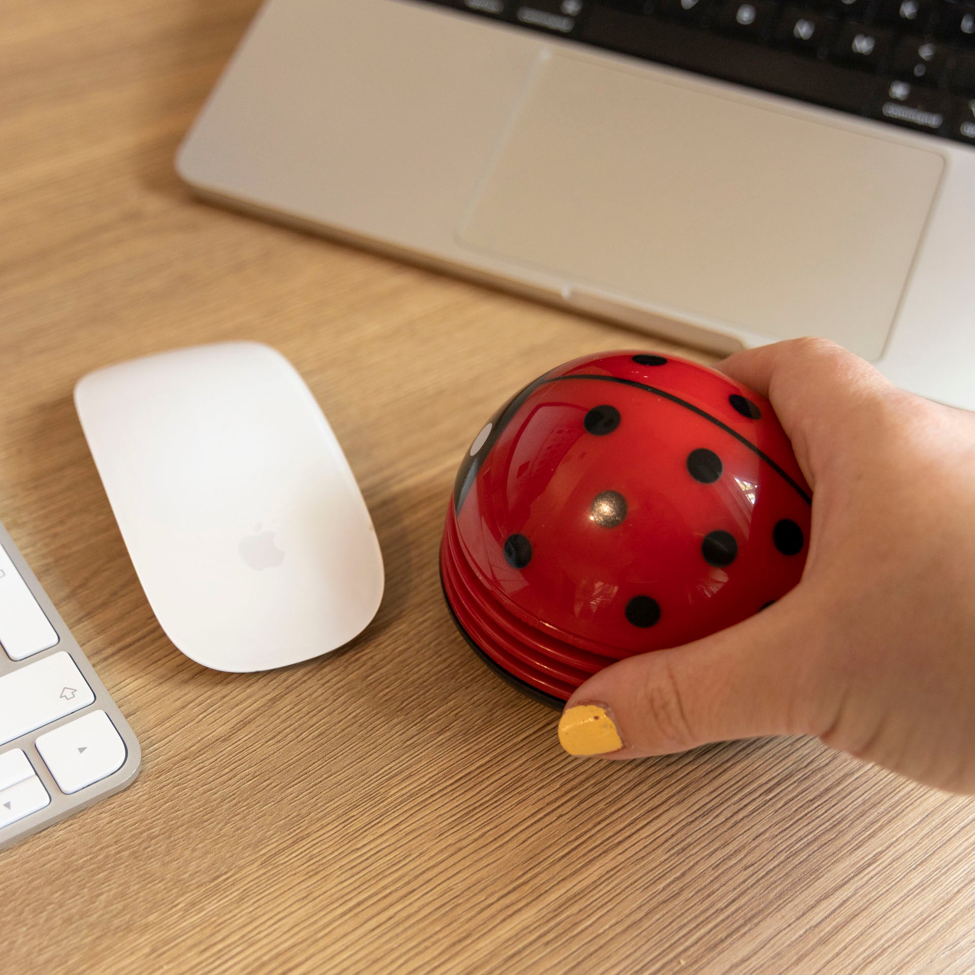 Ladybird Desk Vacuum