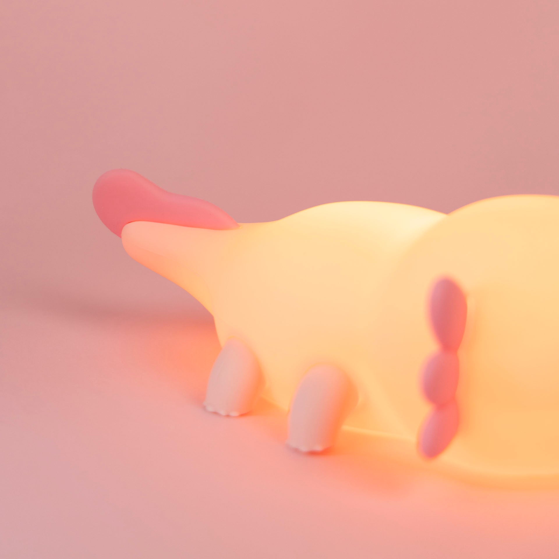 Axolotl Squishy Night Light