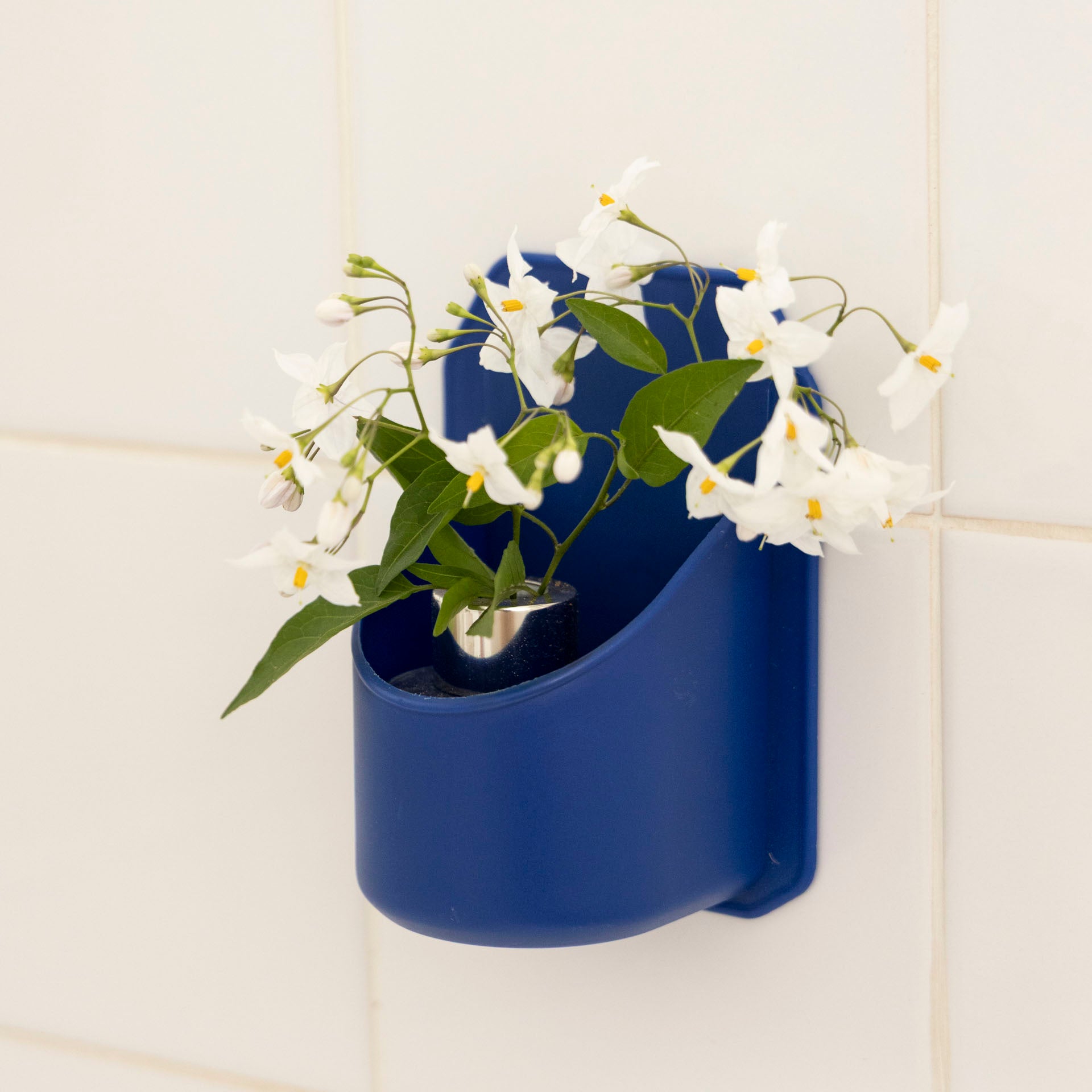 Bathbuddy Can & Bottle Holder