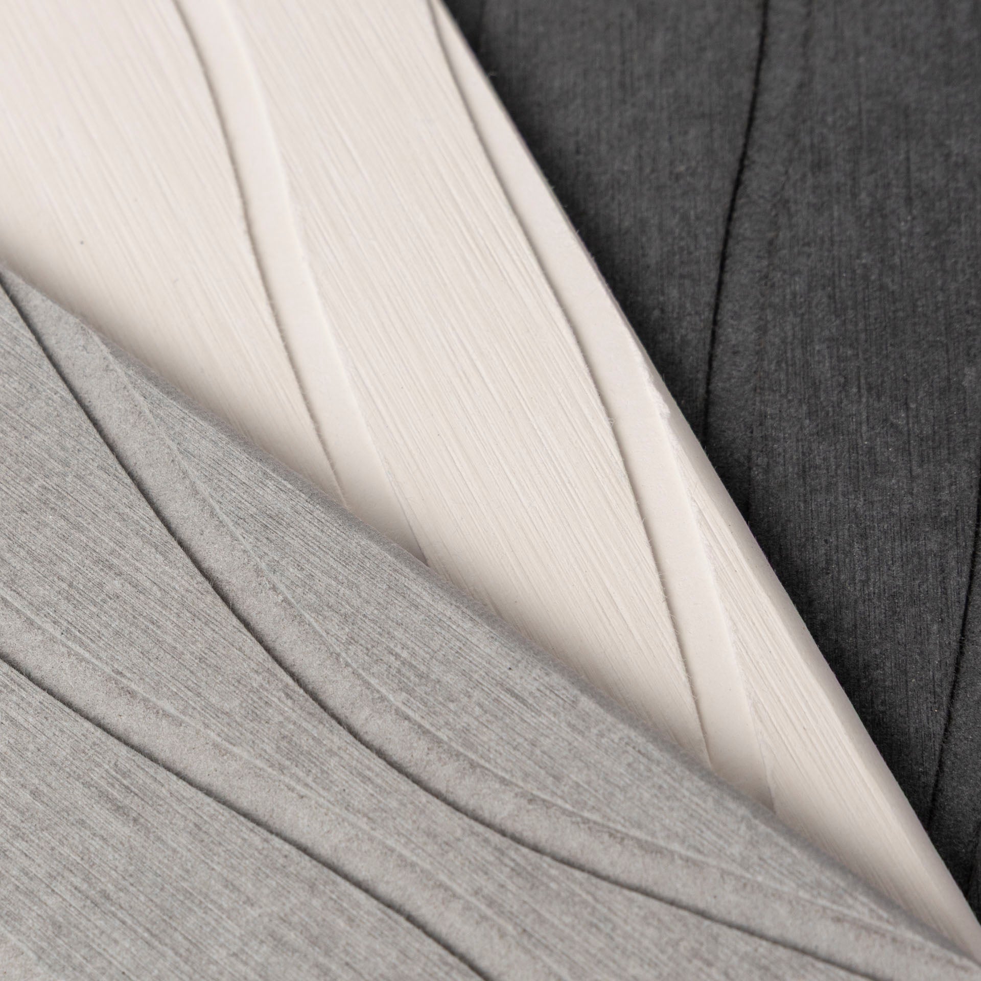 Diatomaceous Earth Sink Caddy (assorted colours)