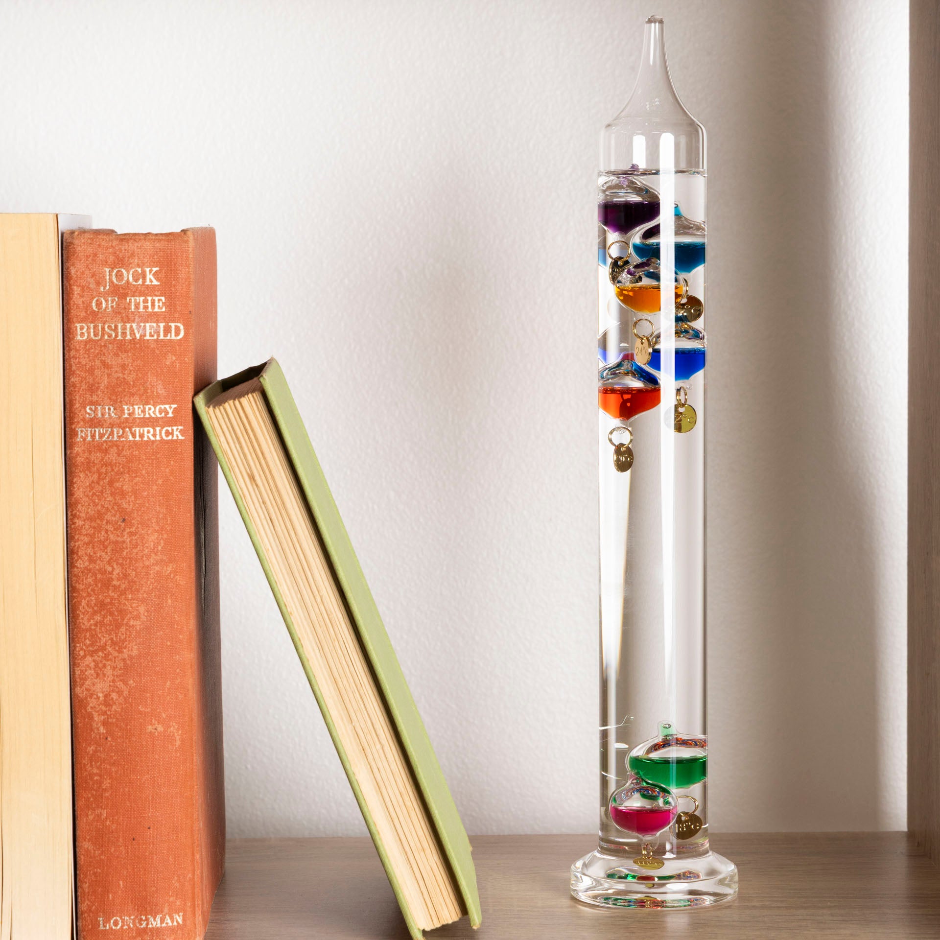 Galileo Thermometer