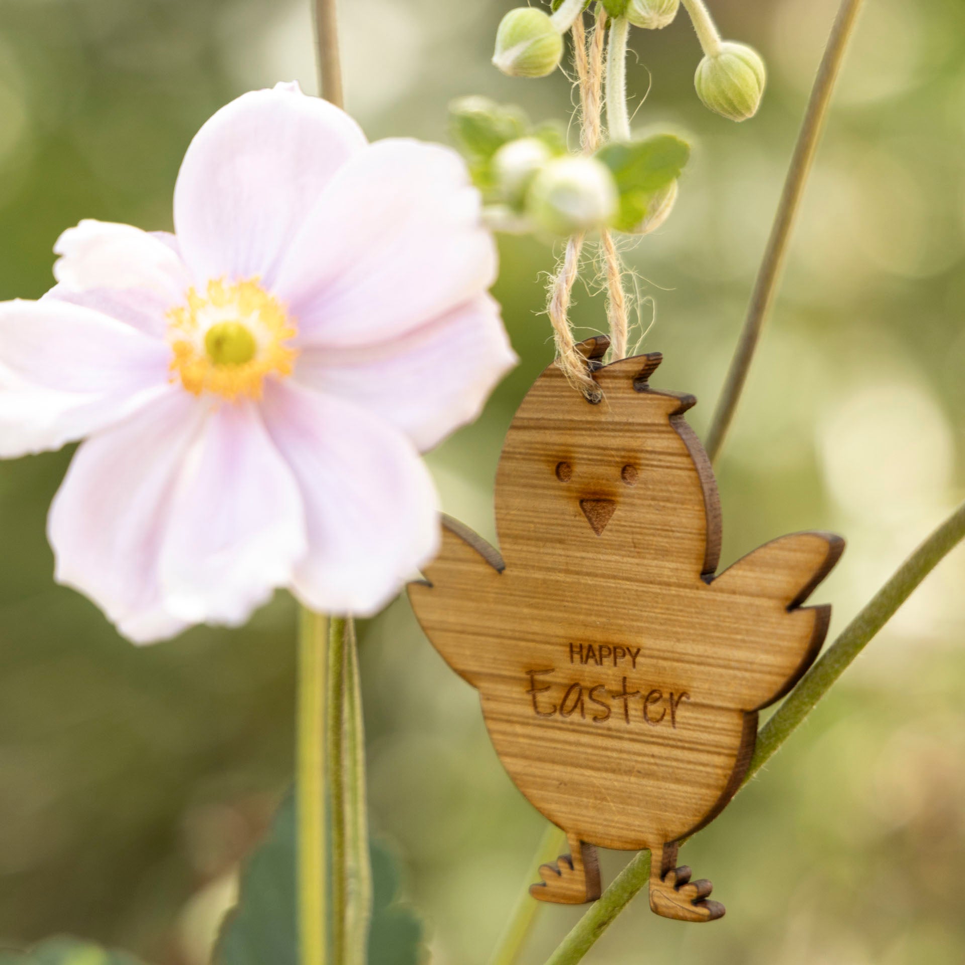 Decorative Easter Chicks (Set of 2)