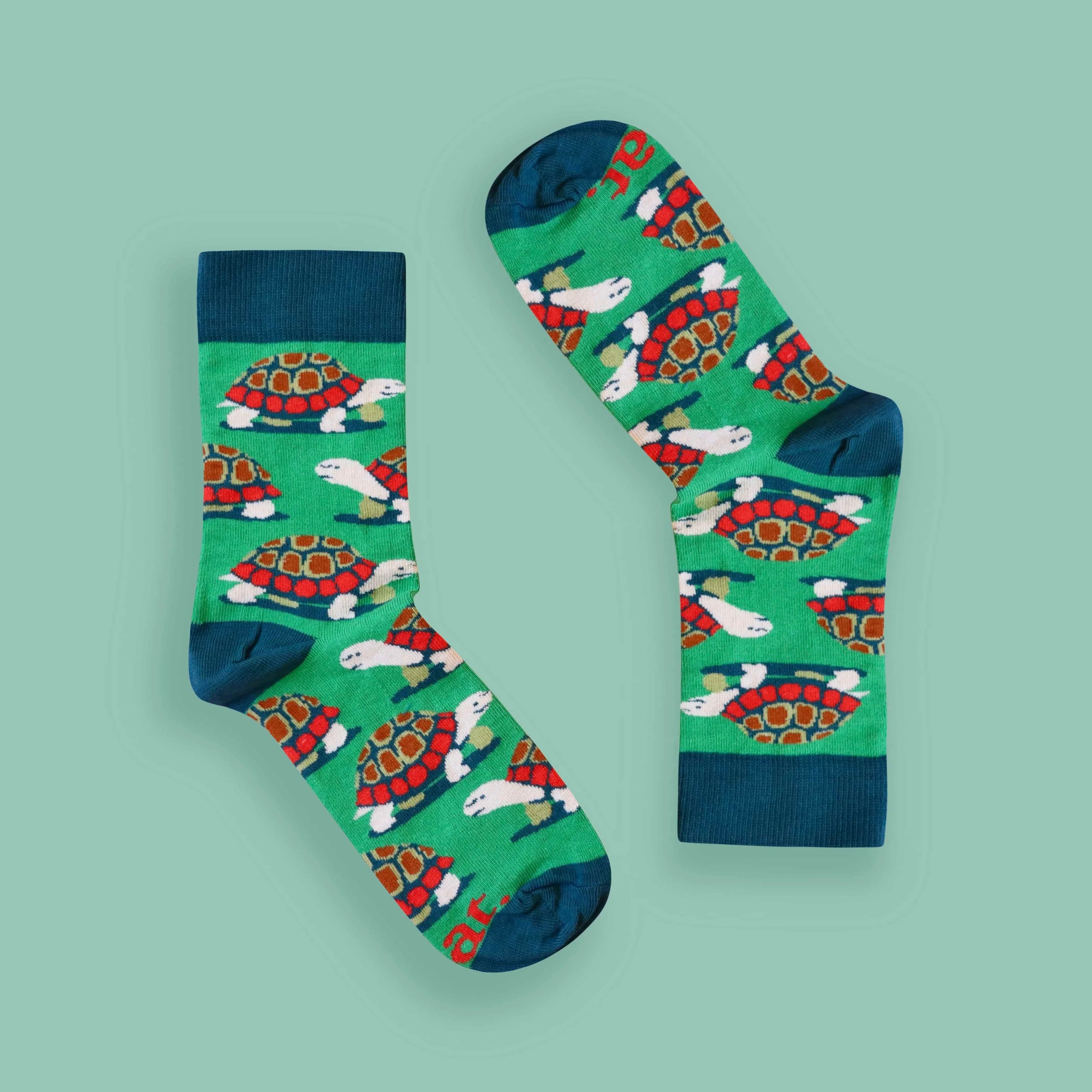 "Padloper" Tortoise Socks (His & Hers sizes)