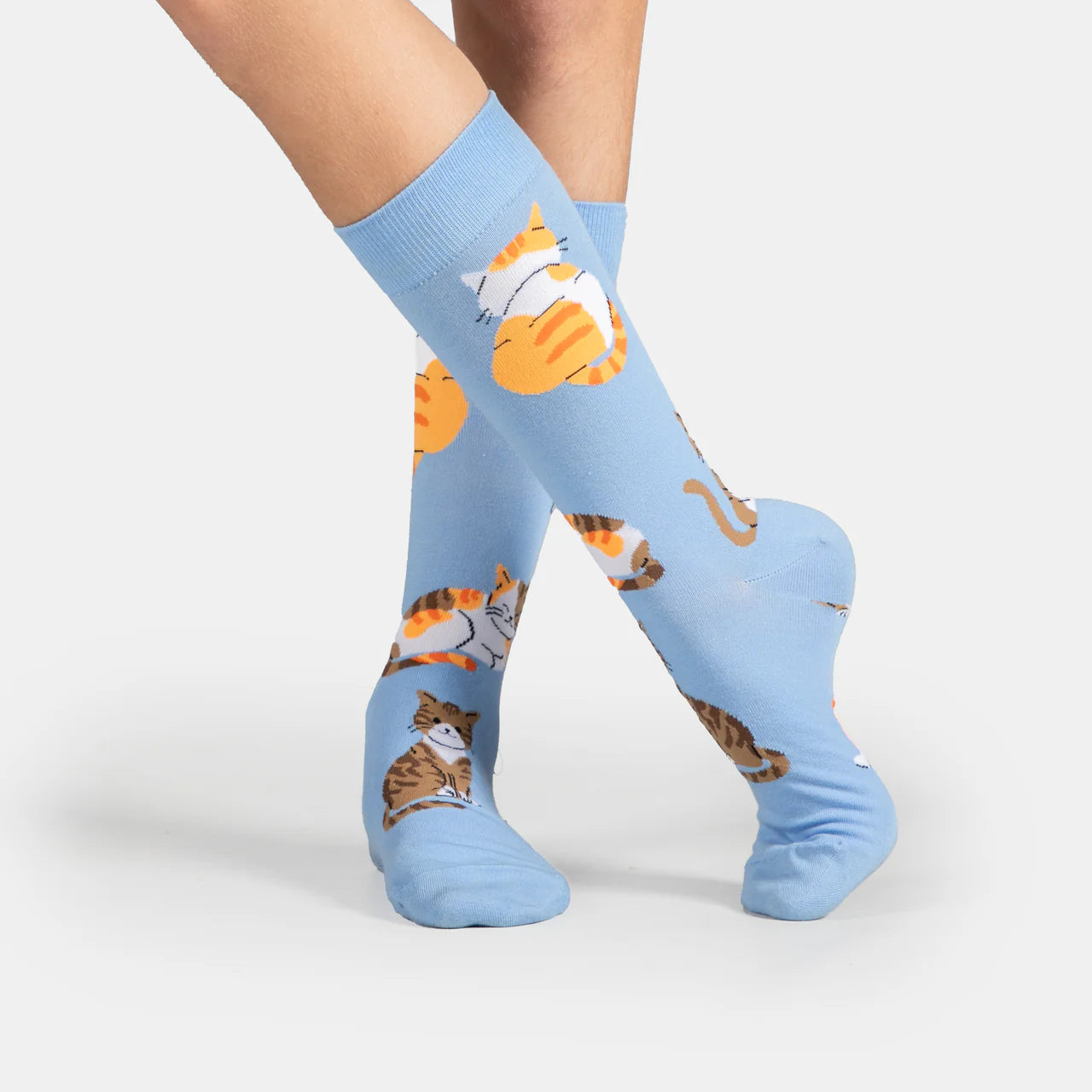 Men's "Meet Cats" Socks