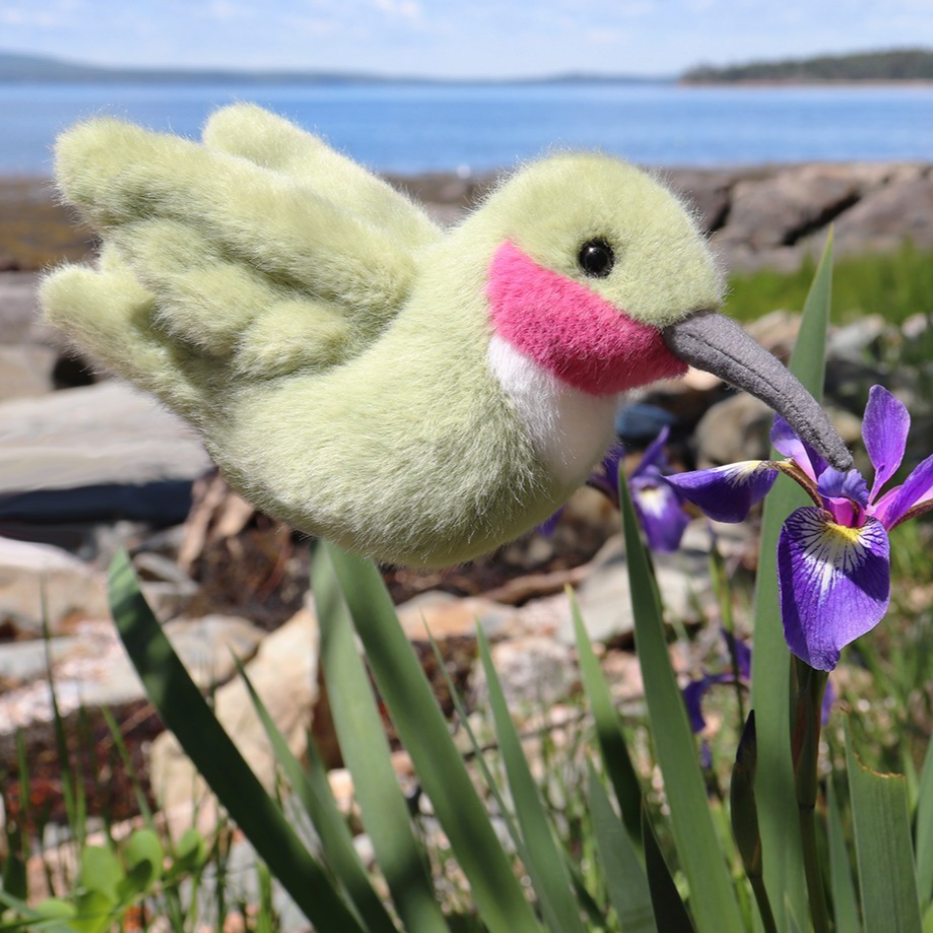 Nectar the Hummingbird Deluxe Plush Toy