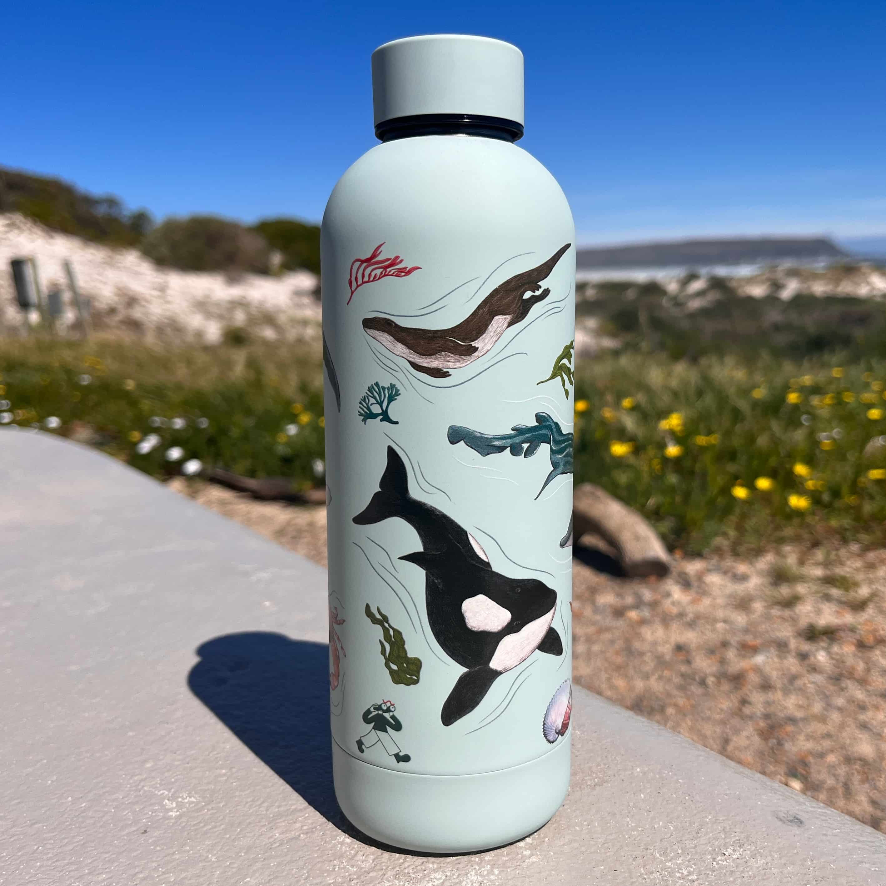 CosyCore Stainless Steel Flasks – Sea Life