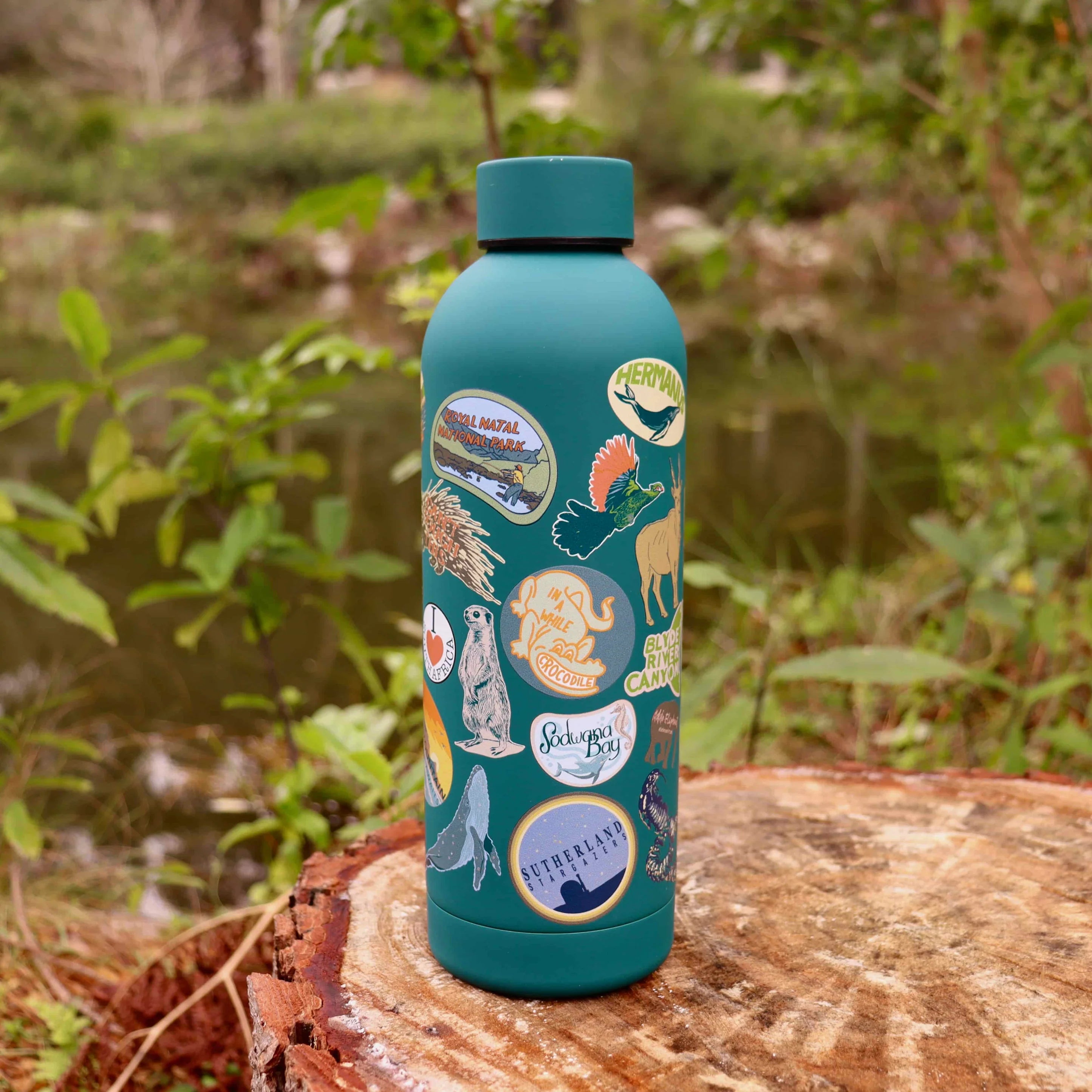 CosyCore Stainless Steel Flasks – Well-Travelled Edition