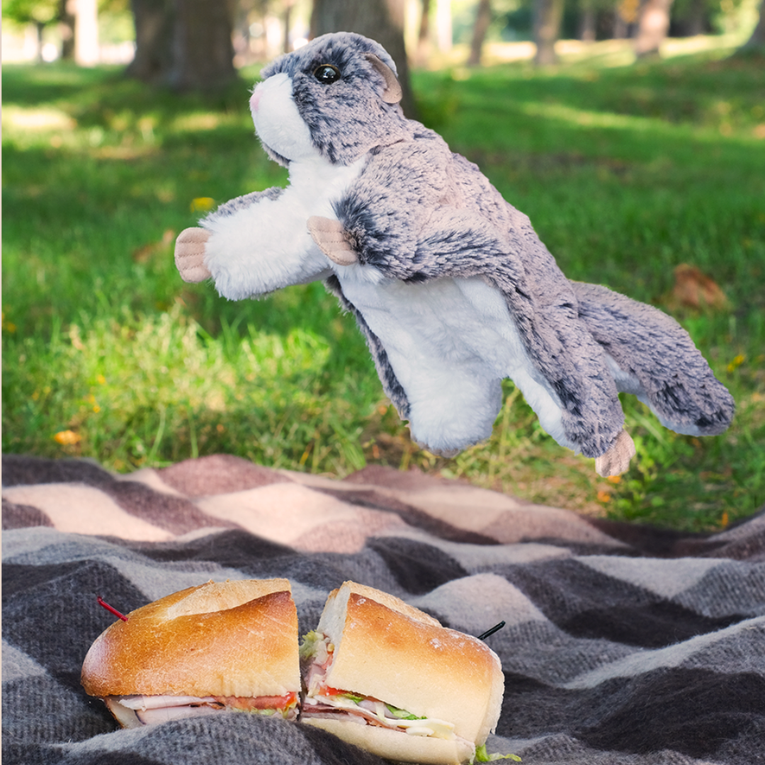 Jumper the Flying Squirrel Deluxe Plush Toy