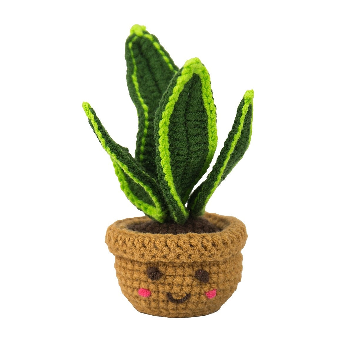 Mini House Plants Crochet Craft Kit