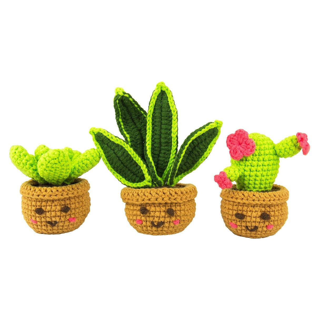 Mini House Plants Crochet Craft Kit