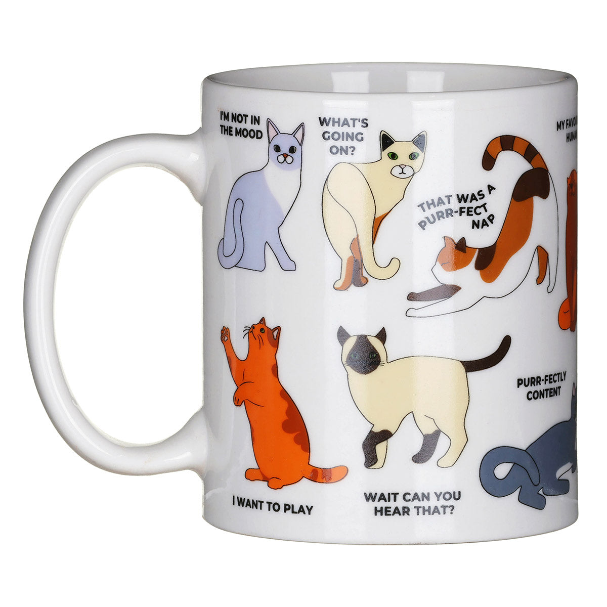 "How to Speak Cat" Mug