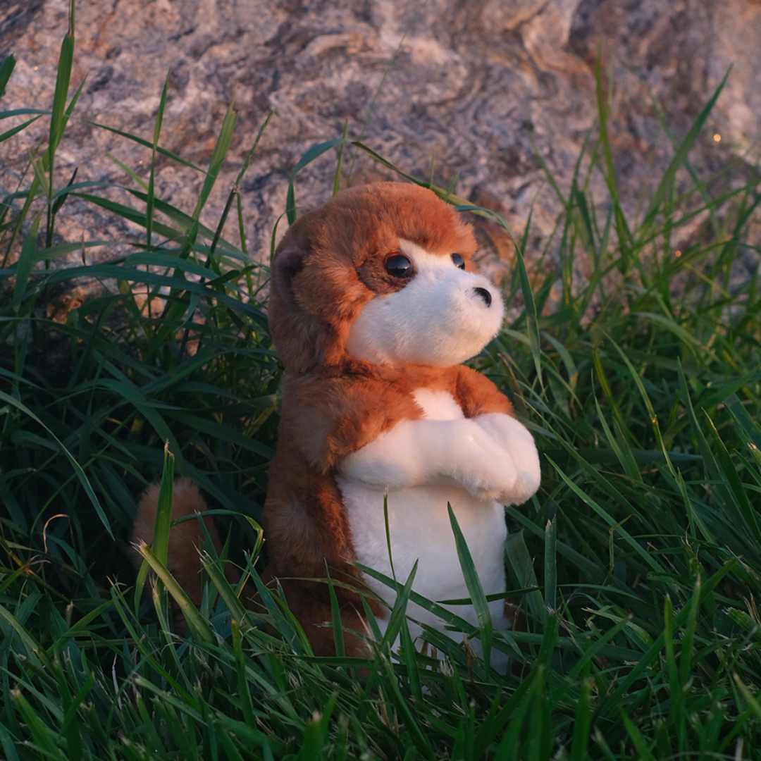 Enzo the Meerkat Deluxe Plush Toy