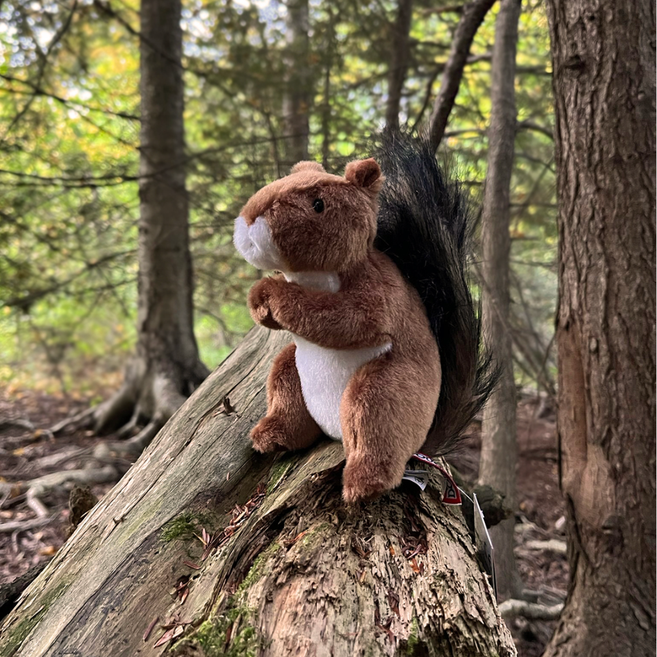 Roadie the Red Squirrel Deluxe Plush Toy