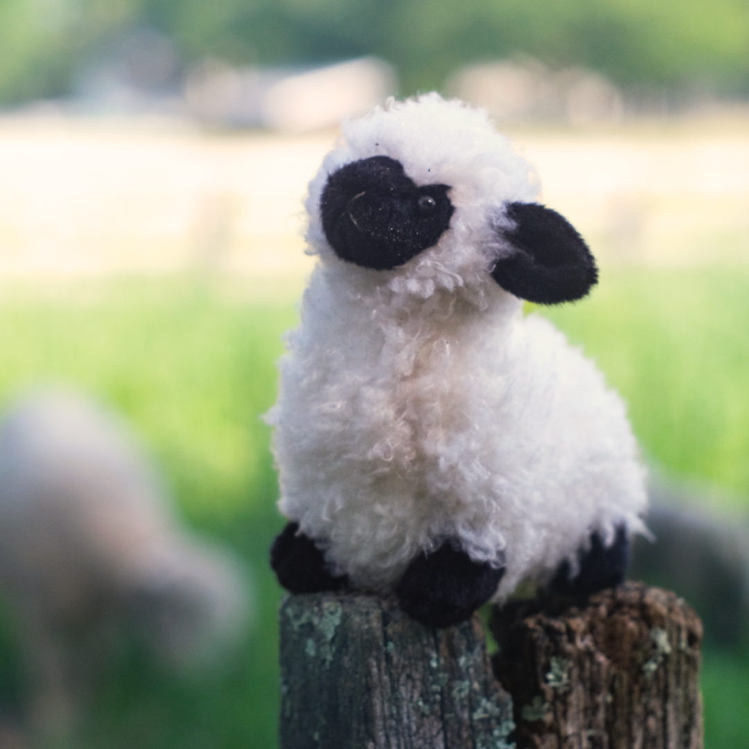 Shiloh the Sheep Deluxe Plush Toy