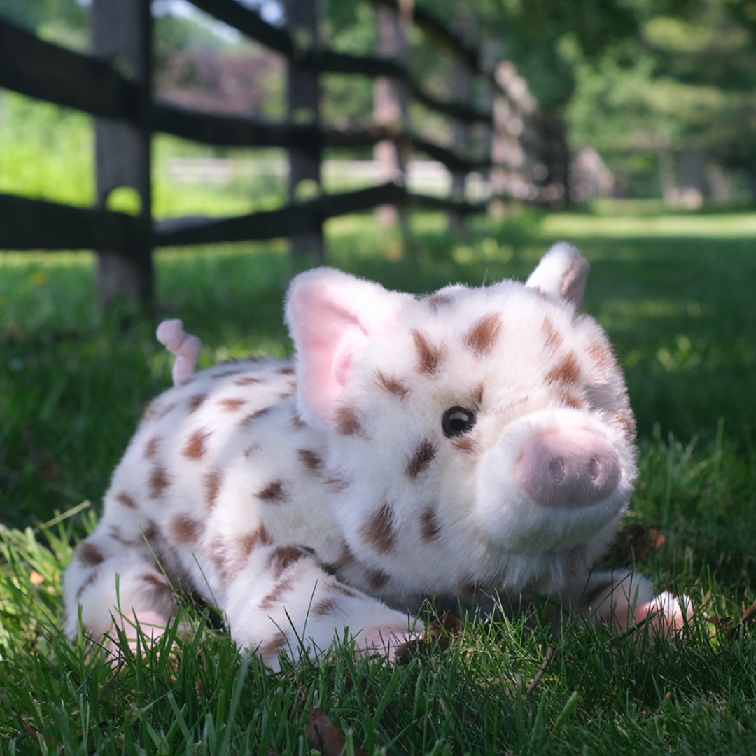 Yogi the Brown-Spotted Pig Deluxe Plush Toy
