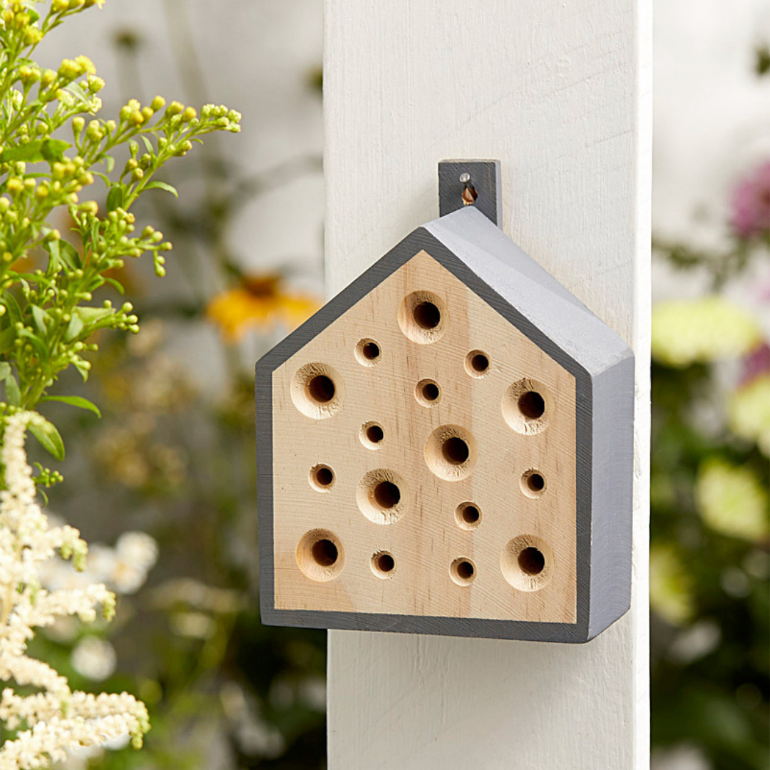Little Bee House