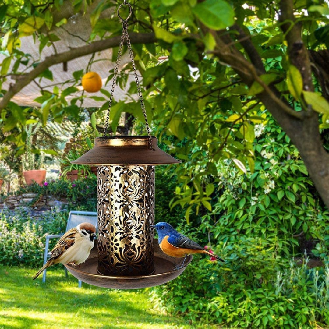 Bird Feeder with Solar Light