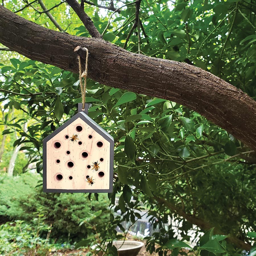 Little Bee House