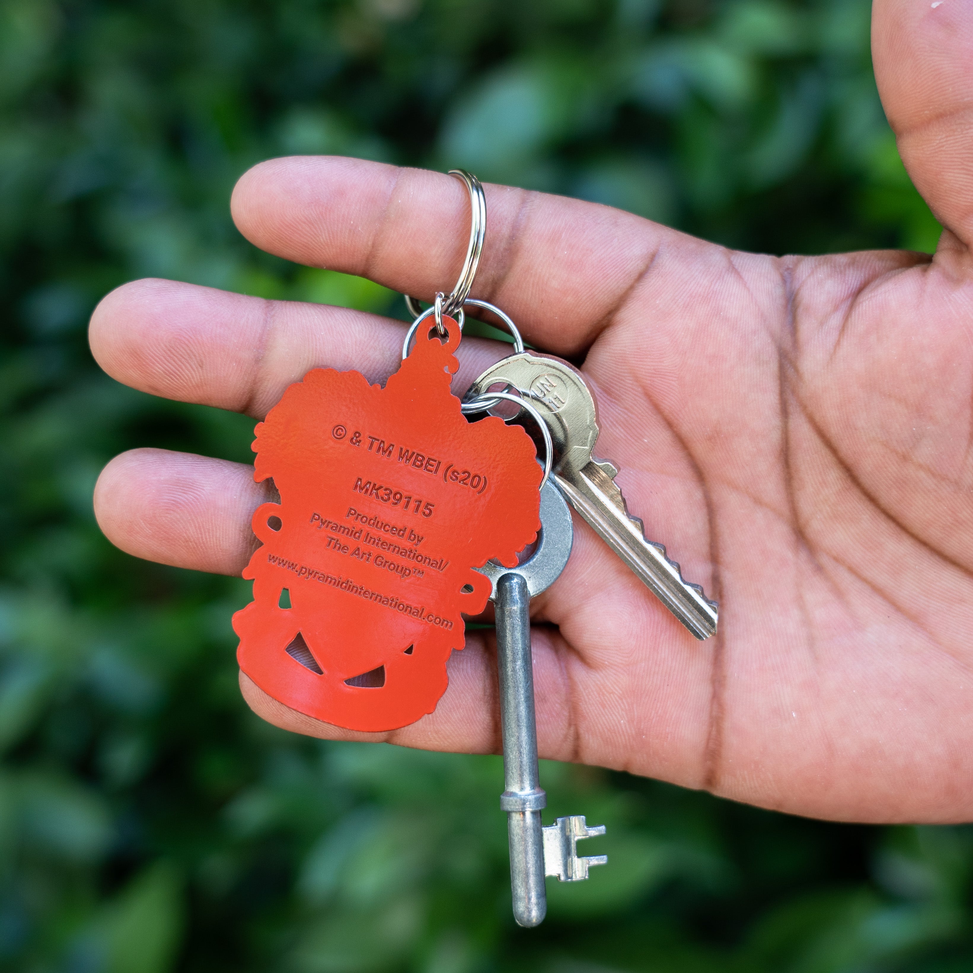 Harry Potter Hogwarts House Premium Metal Keyrings (assorted)