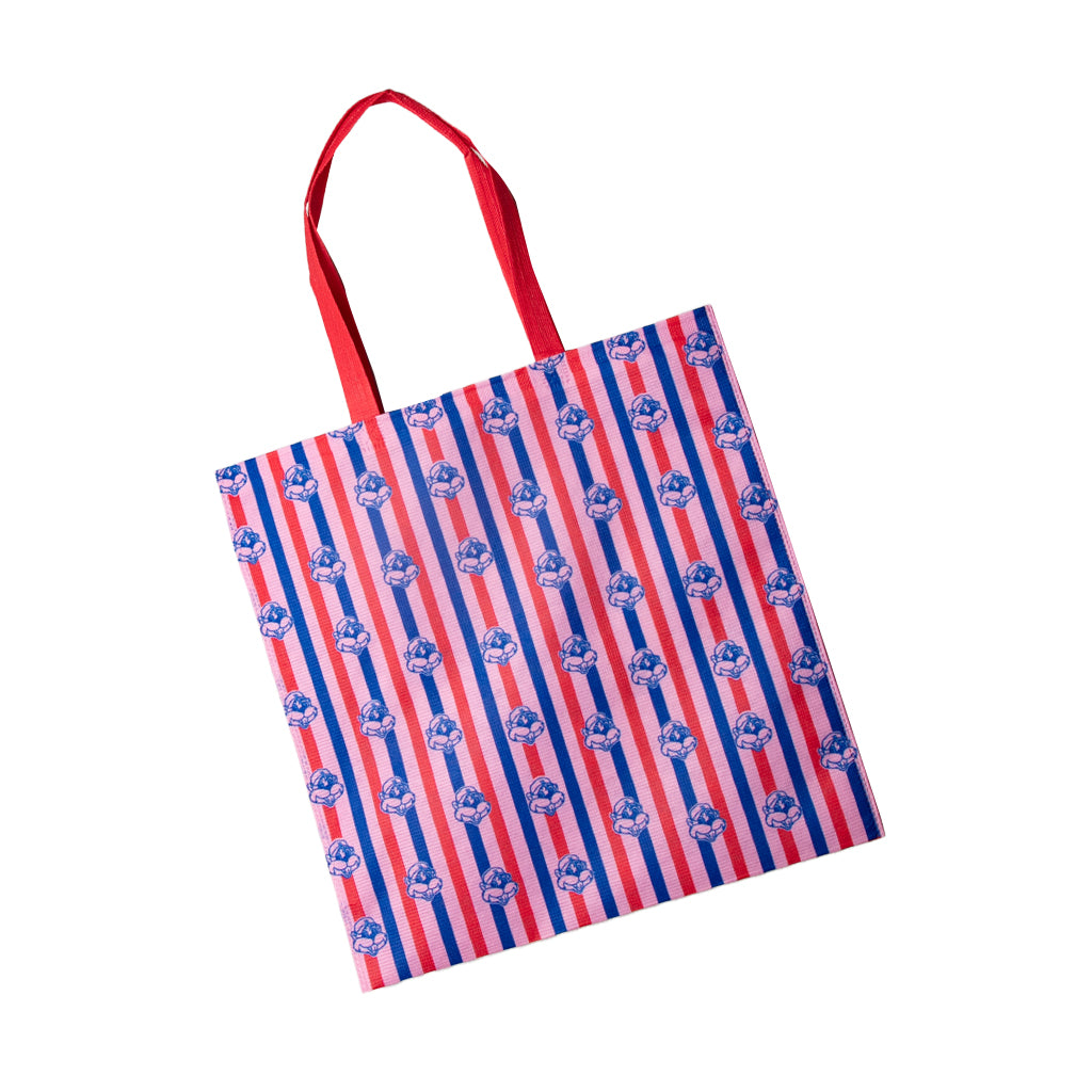 SA Icons Reusable Shopper Bags